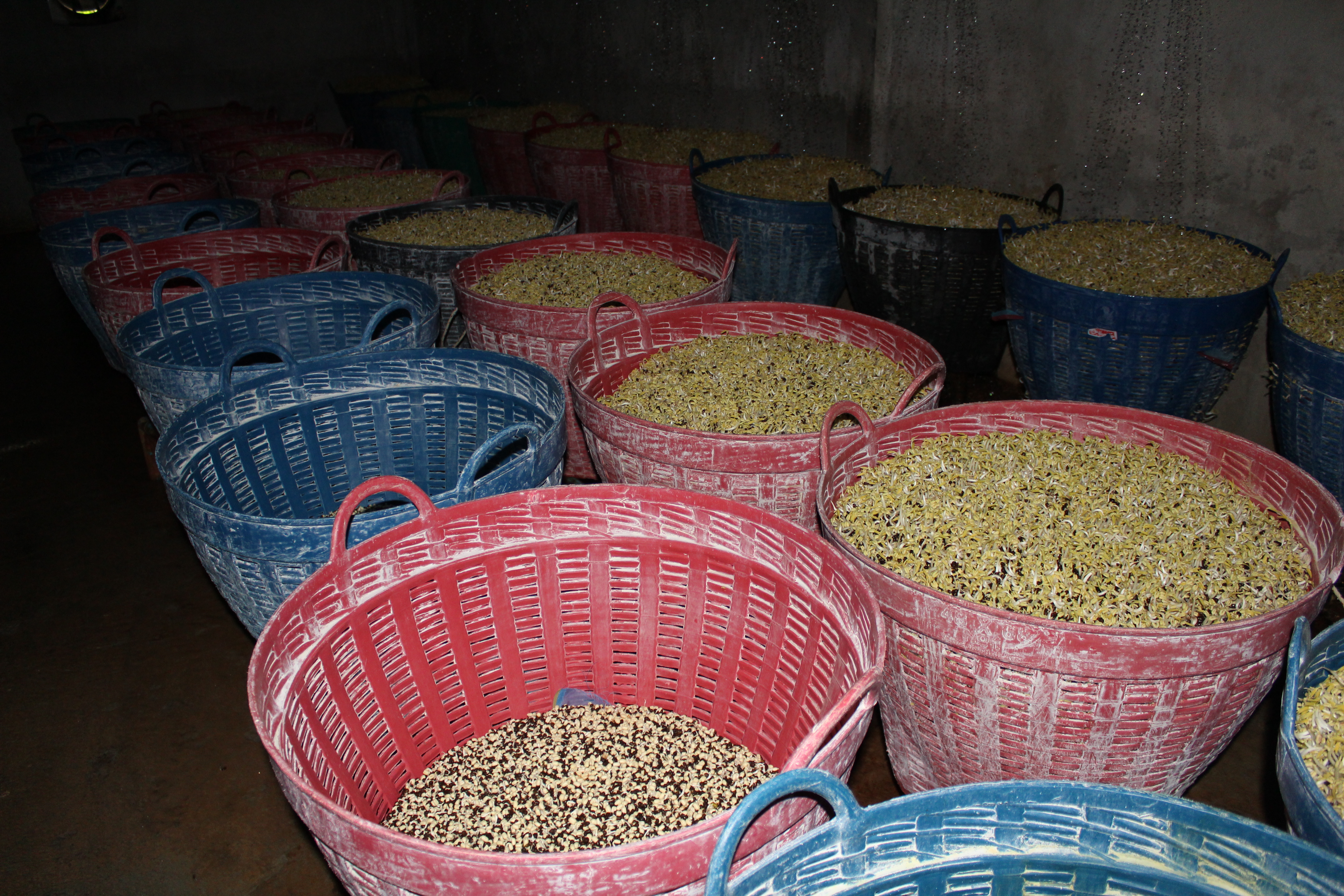 ผู้ตรวจราชการกรมฯ เยี่ยมชมให้กำลังใจกลุ่มอาชีพกองทุนพัฒนาบทบาทสตรี