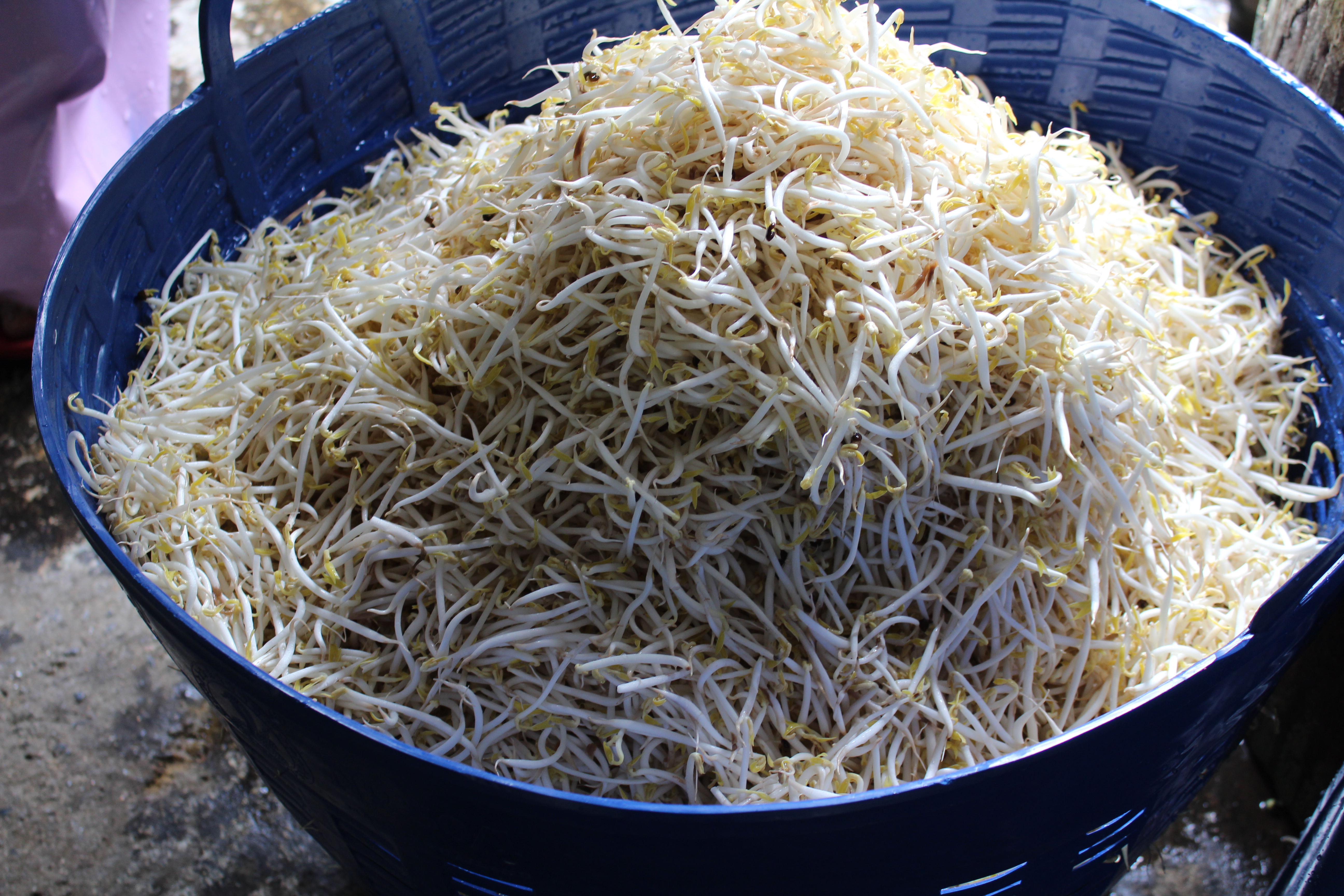 ผู้ตรวจราชการกรมฯ เยี่ยมชมให้กำลังใจกลุ่มอาชีพกองทุนพัฒนาบทบาทสตรี