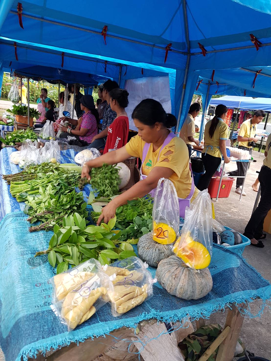 KICK OFF !!! ตลาดประชารัฐจังหวัดสุราษฎร์ธานีเต็มพื้นที่ 19 อำเภอ