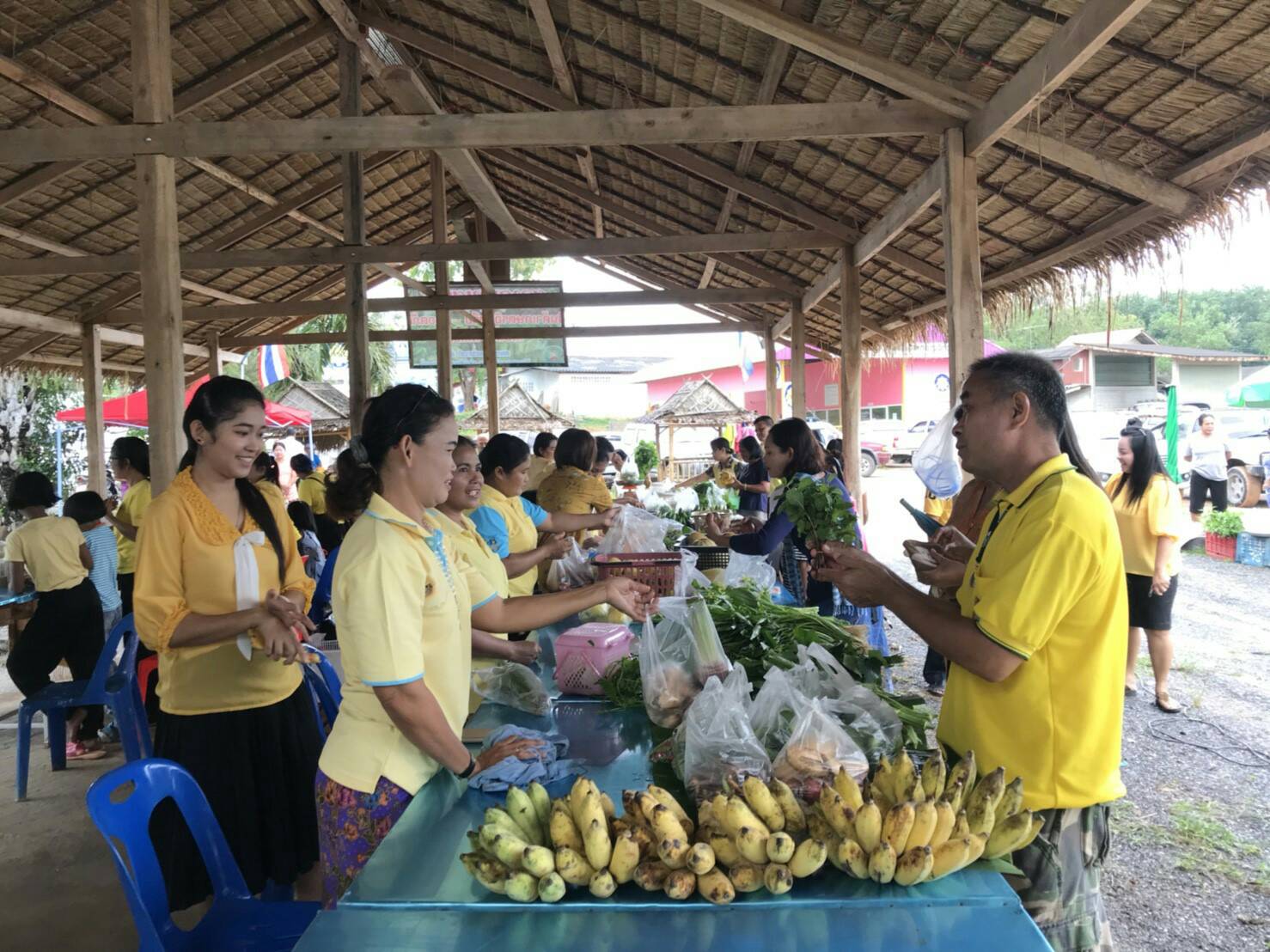 KICK OFF !!! ตลาดประชารัฐจังหวัดสุราษฎร์ธานีเต็มพื้นที่ 19 อำเภอ
