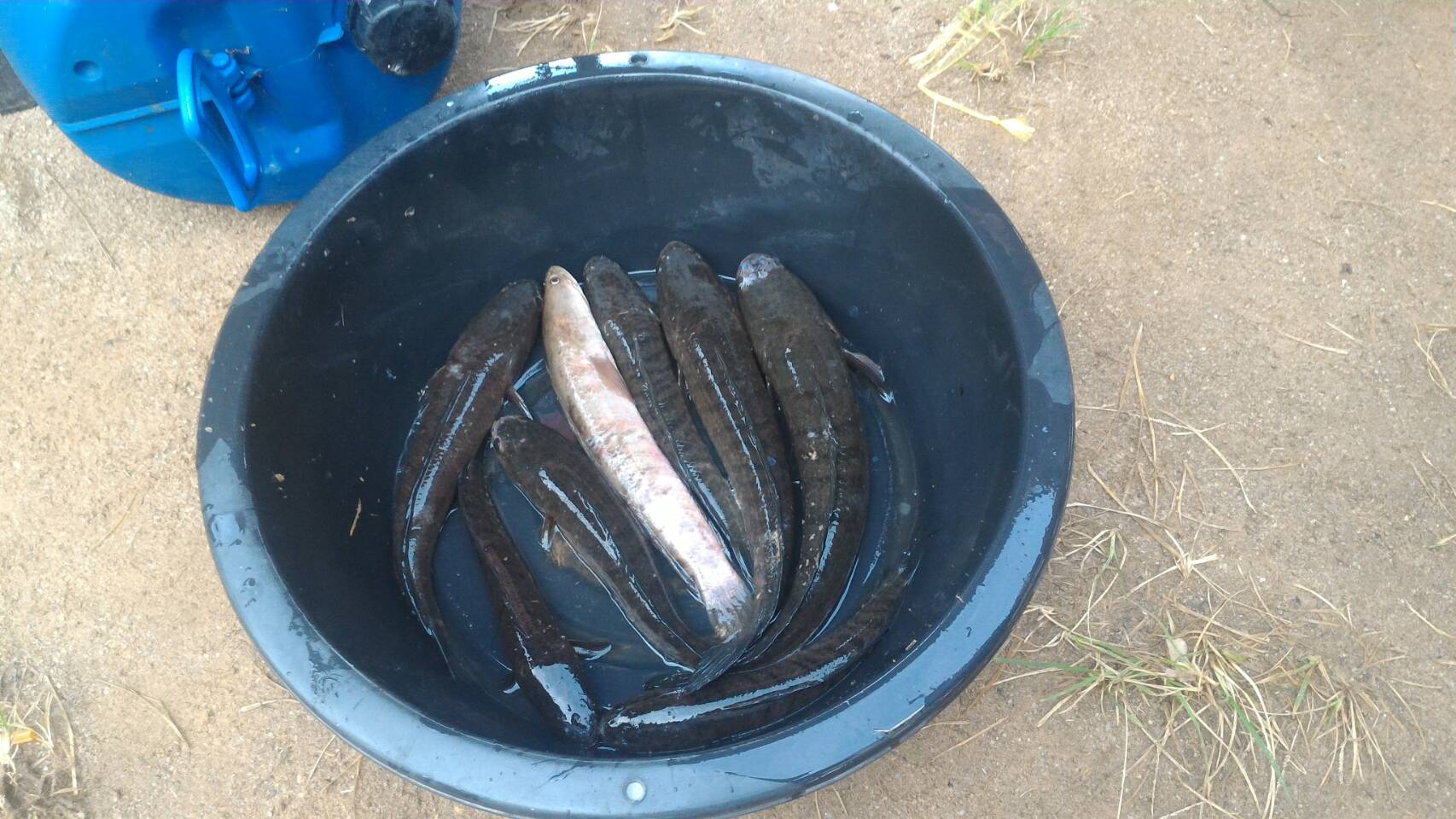 คึกคัก!!! ตลาดประชารัฐคนไทยยิ้มได้จังหวัดสุราษฎร์ธานี