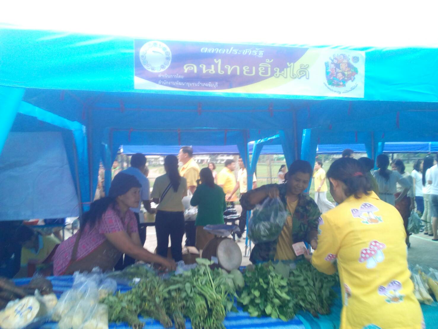 KICK OFF !!! ตลาดประชารัฐจังหวัดสุราษฎร์ธานีเต็มพื้นที่ 19 อำเภอ