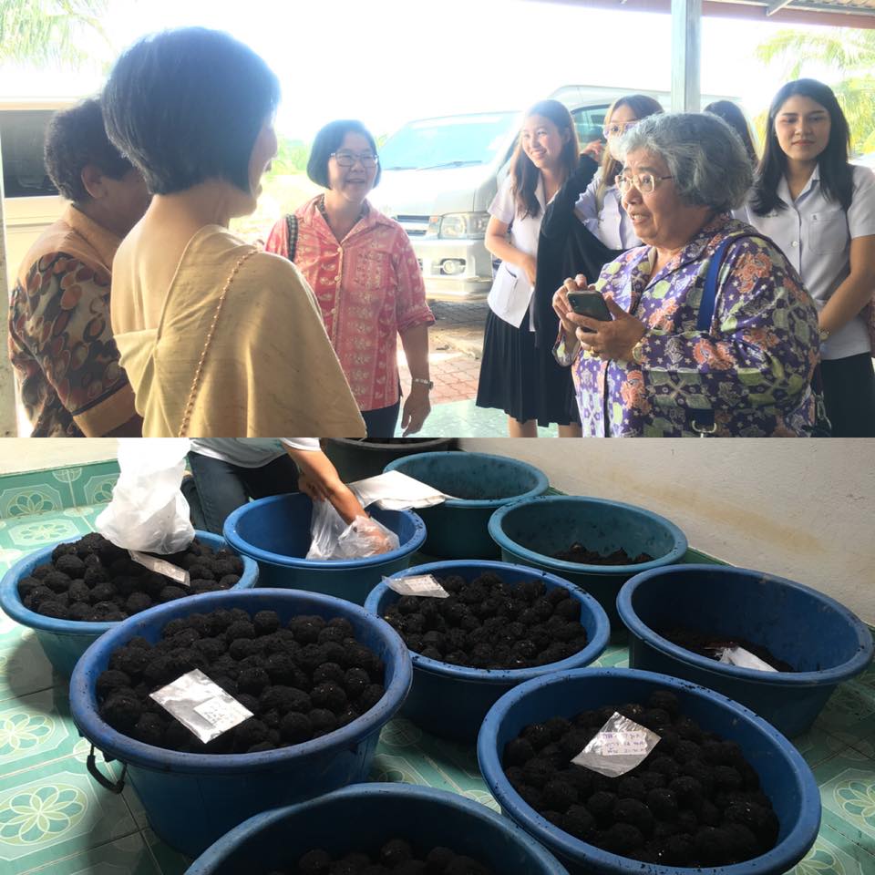 สุราษฎร์ธานี  พัฒนาผลิตภัณฑ์ชุมชน ตามโครงการสุราษฎร์โมเดล