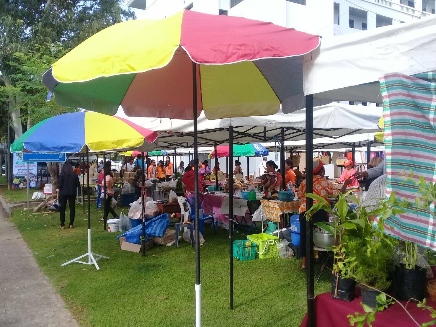 ตลาดประชารัฐคนไทยยิ้มได้ หน้าศาลากลาง ย้ายสถานที่ ไปที่สนามหน้าอาคาร อบจ.สุราษฎร์ธานี