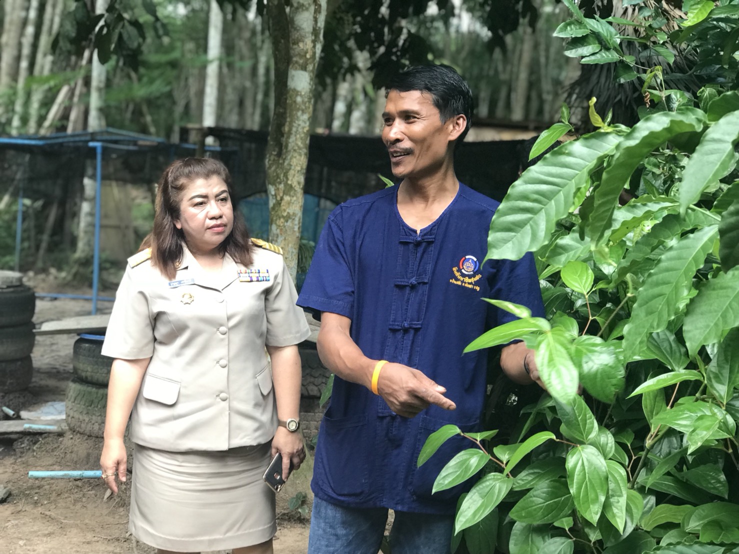 คัดเลือกครัวเรือนสัมมาชีพตัวอย่าง