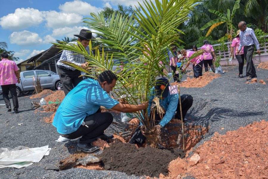 โครงการ พช.ร่วมใจปลูกต้นไม้ให้งอกงาม