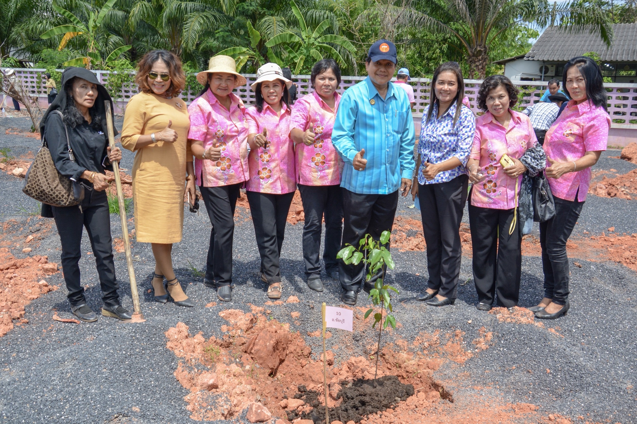 โครงการ พช.ร่วมใจปลูกต้นไม้ให้งอกงาม