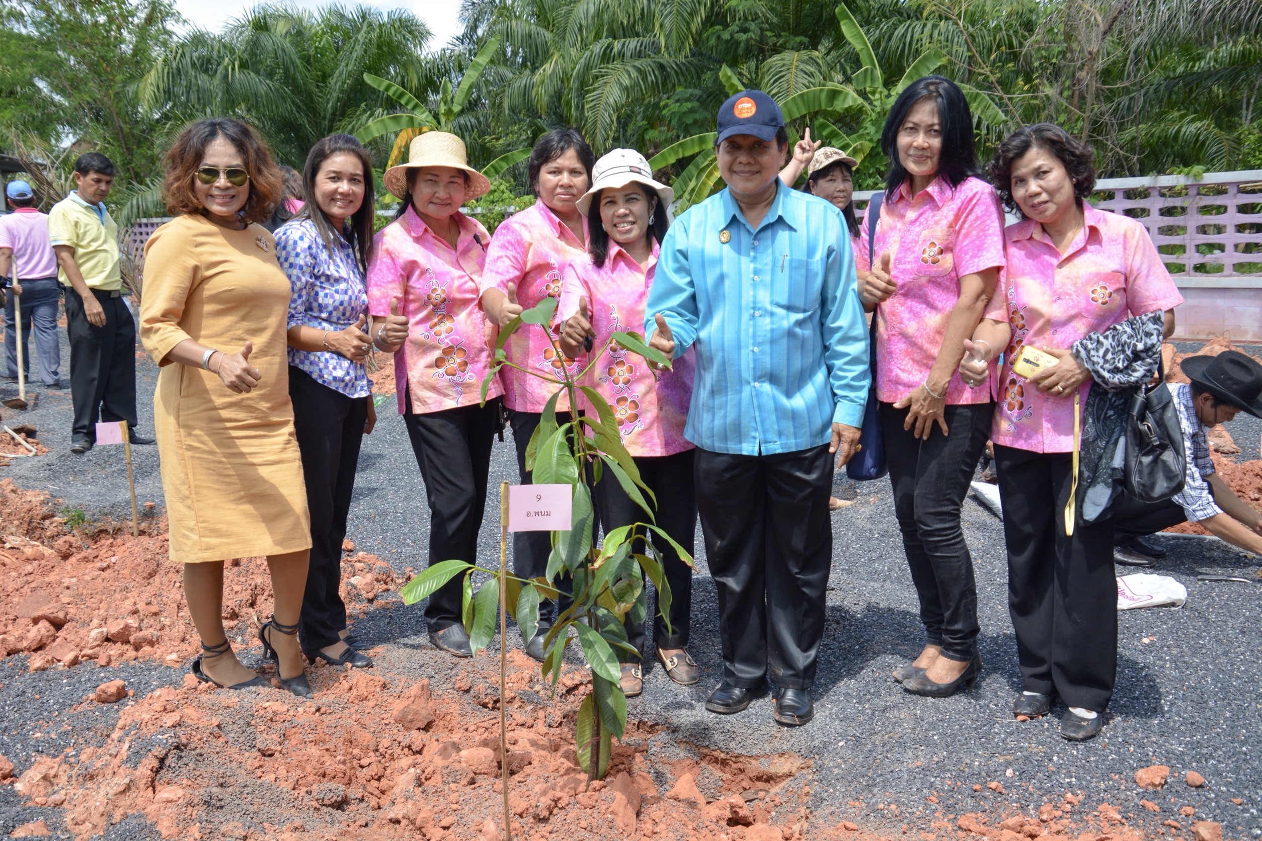 โครงการ พช.ร่วมใจปลูกต้นไม้ให้งอกงาม