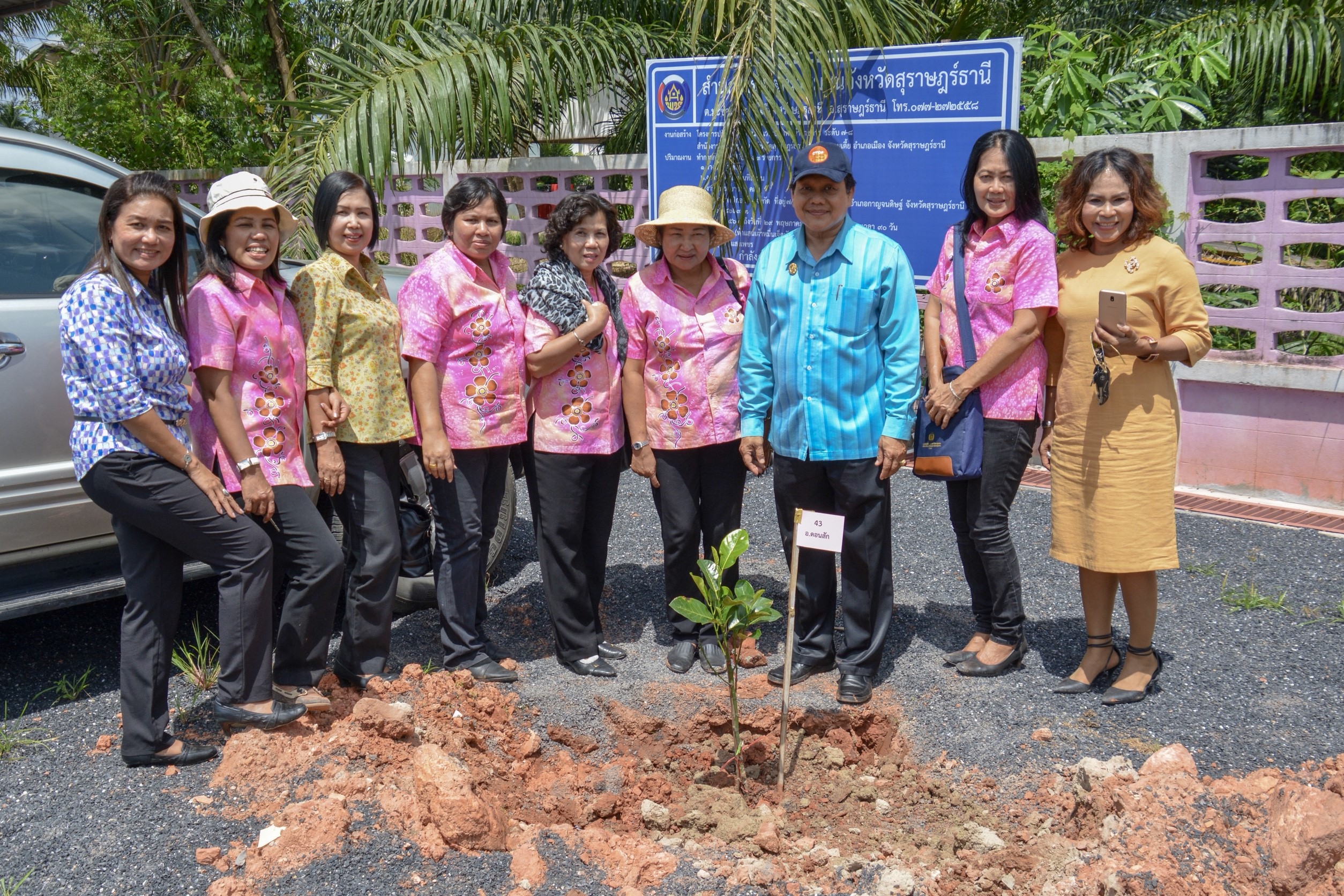 โครงการ พช.ร่วมใจปลูกต้นไม้ให้งอกงาม