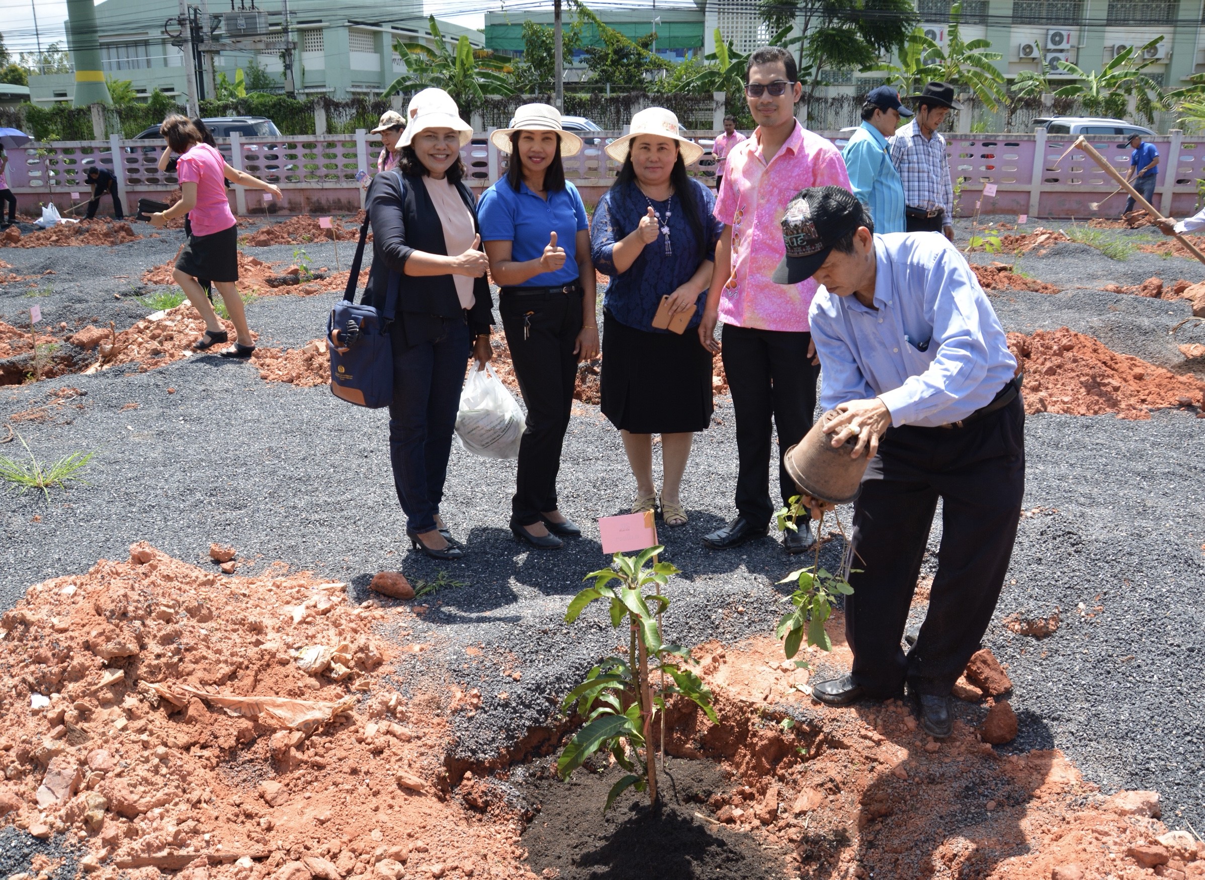 โครงการ พช.ร่วมใจปลูกต้นไม้ให้งอกงาม