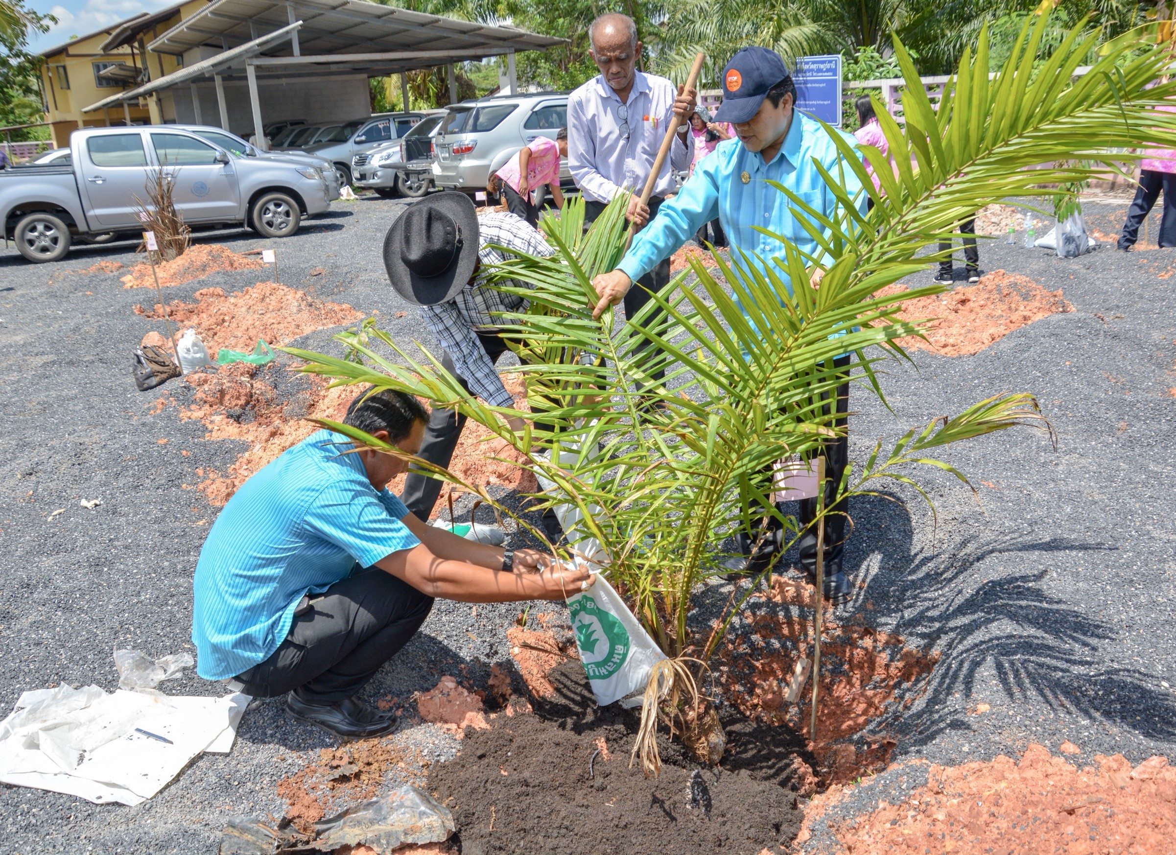 โครงการ พช.ร่วมใจปลูกต้นไม้ให้งอกงาม