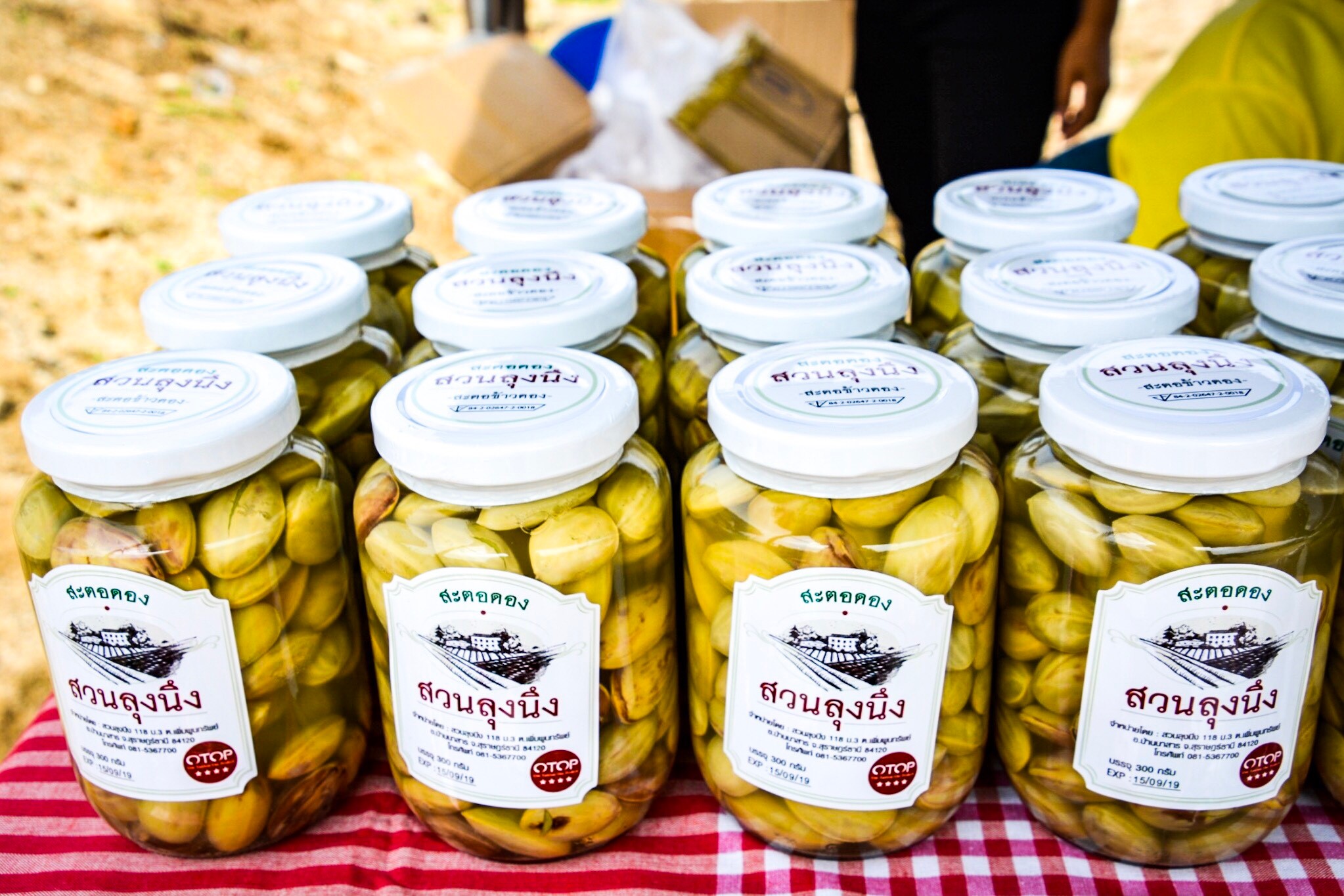 กิจกรรมการเปิดตัว หมู่บ้านท่องเที่ยว OTOP นวัตวิถีบ้านวังศิลาดิเรกสาร อำเภอบ้านนาสาร จังหวัดสุราษฎร์ธานี