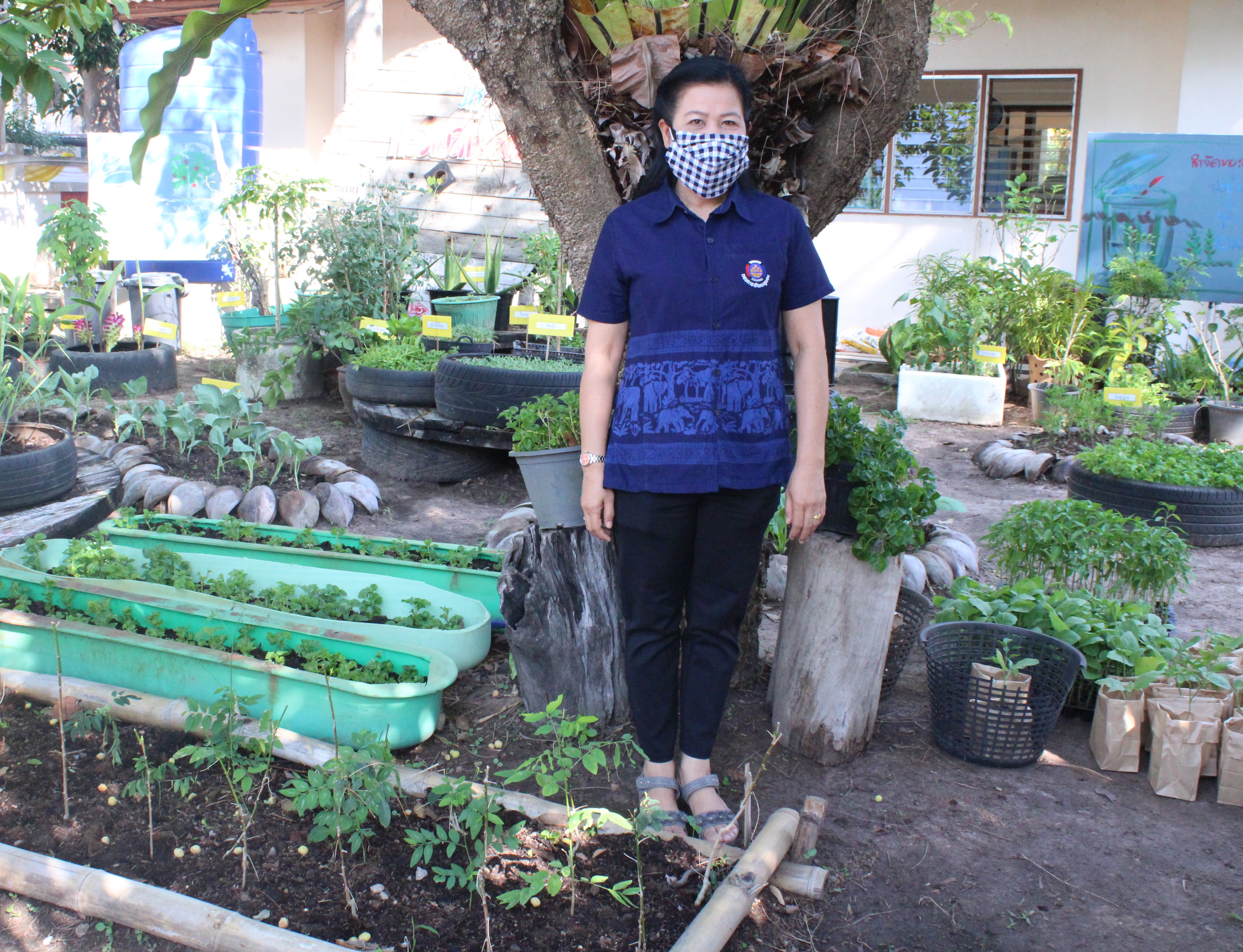 เปิดปฏิบัติการ QUICK WIN 90 วัน “ปลูกผักสวนครัว” เพื่อสร้างความมั่นคงทางอาหาร ต้านภัยวิกฤต ต่อสู้ COVID 19 ด้วยการร่วมกันปลูกผักสวนครัว