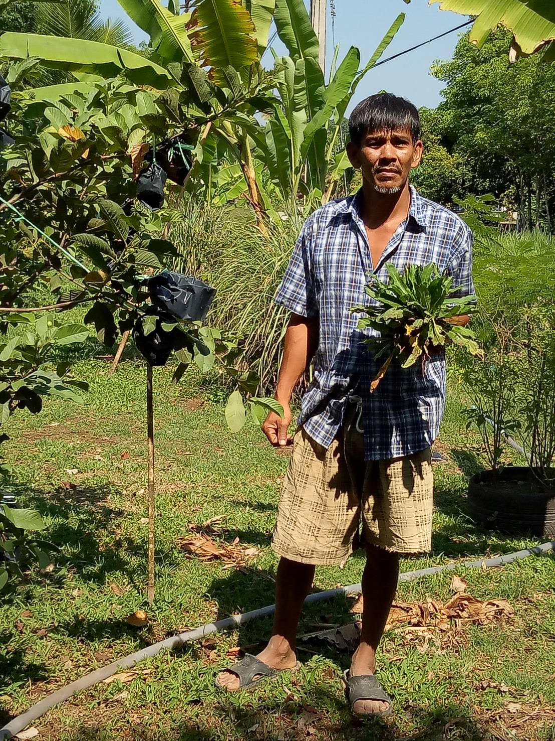 บ้านนี้มีรัก ปลูกผักกินเอง