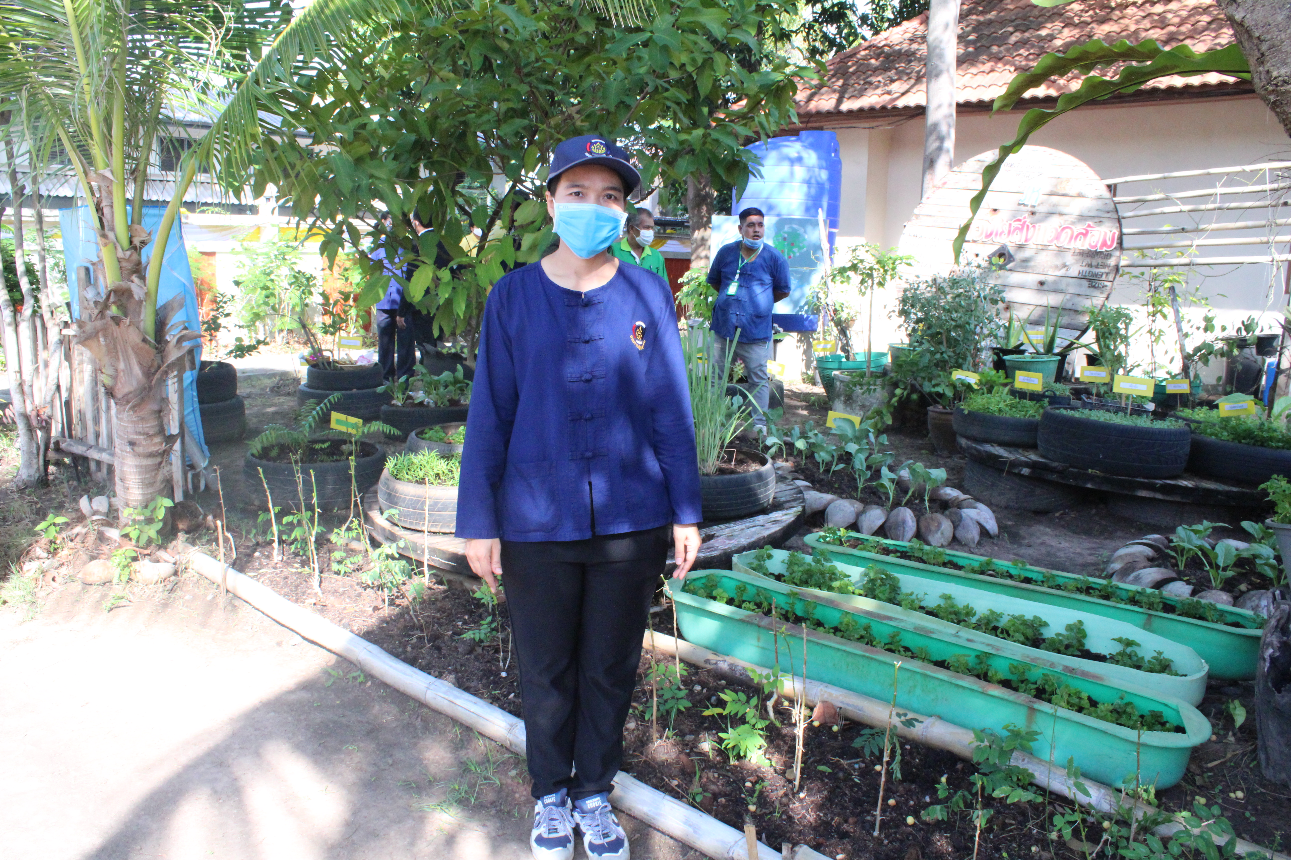 เปิดปฏิบัติการ QUICK WIN 90 วัน “ปลูกผักสวนครัว” เพื่อสร้างความมั่นคงทางอาหาร ต้านภัยวิกฤต ต่อสู้ COVID 19 ด้วยการร่วมกันปลูกผักสวนครัว
