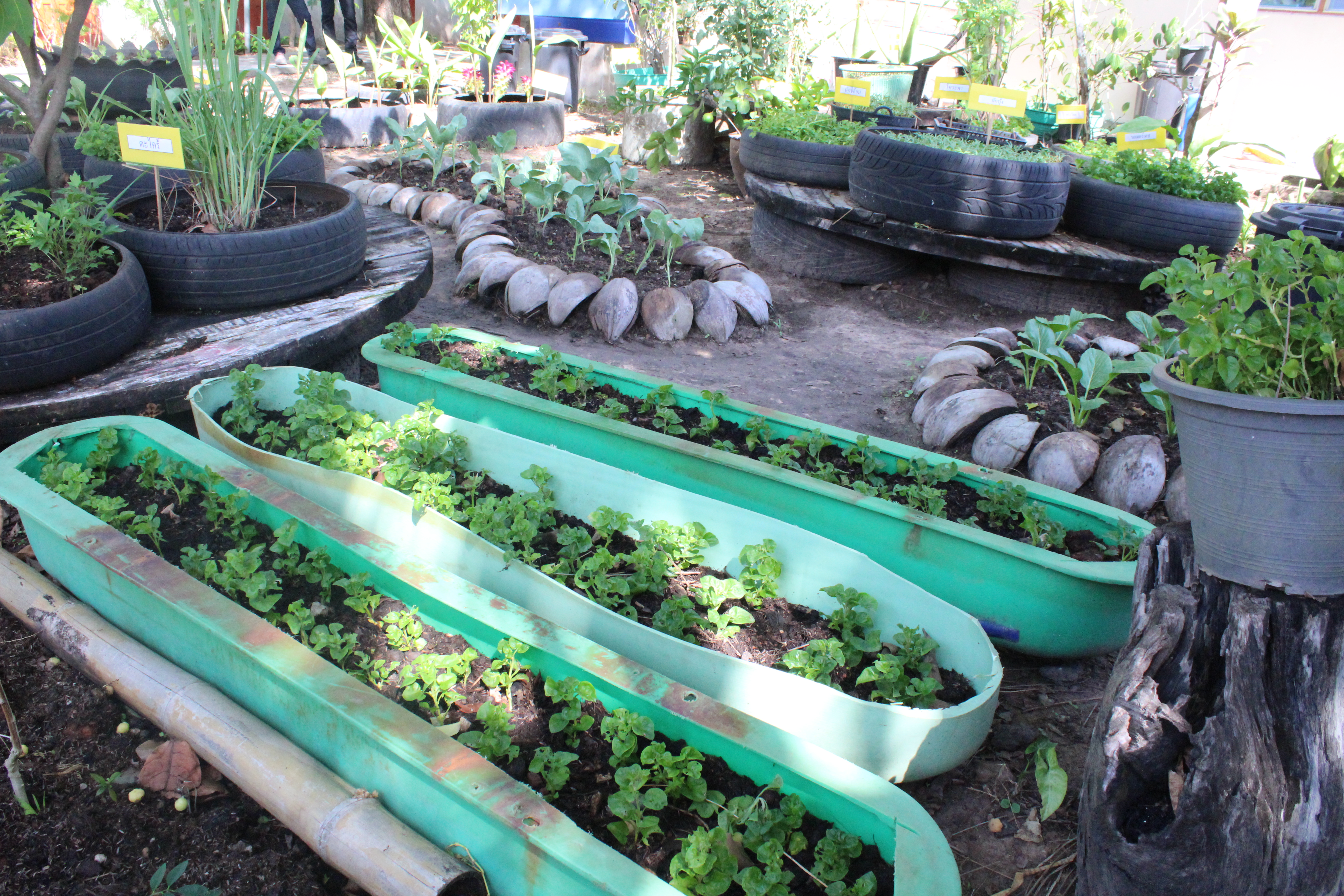 เปิดปฏิบัติการ QUICK WIN 90 วัน “ปลูกผักสวนครัว” เพื่อสร้างความมั่นคงทางอาหาร ต้านภัยวิกฤต ต่อสู้ COVID 19 ด้วยการร่วมกันปลูกผักสวนครัว