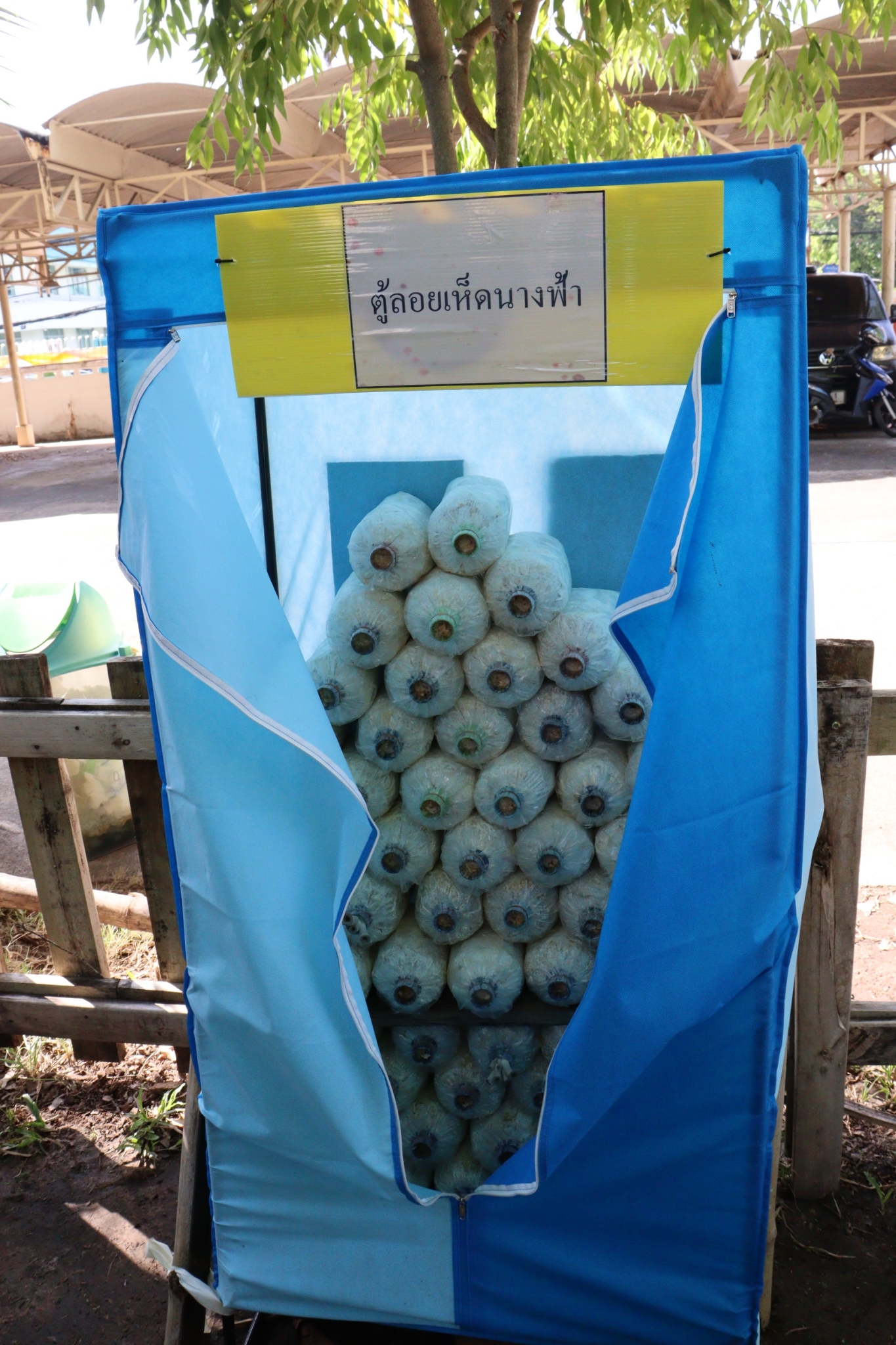 เปิดปฏิบัติการ QUICK WIN 90 วัน “ปลูกผักสวนครัว” เพื่อสร้างความมั่นคงทางอาหาร ต้านภัยวิกฤต ต่อสู้ COVID 19 ด้วยการร่วมกันปลูกผักสวนครัว