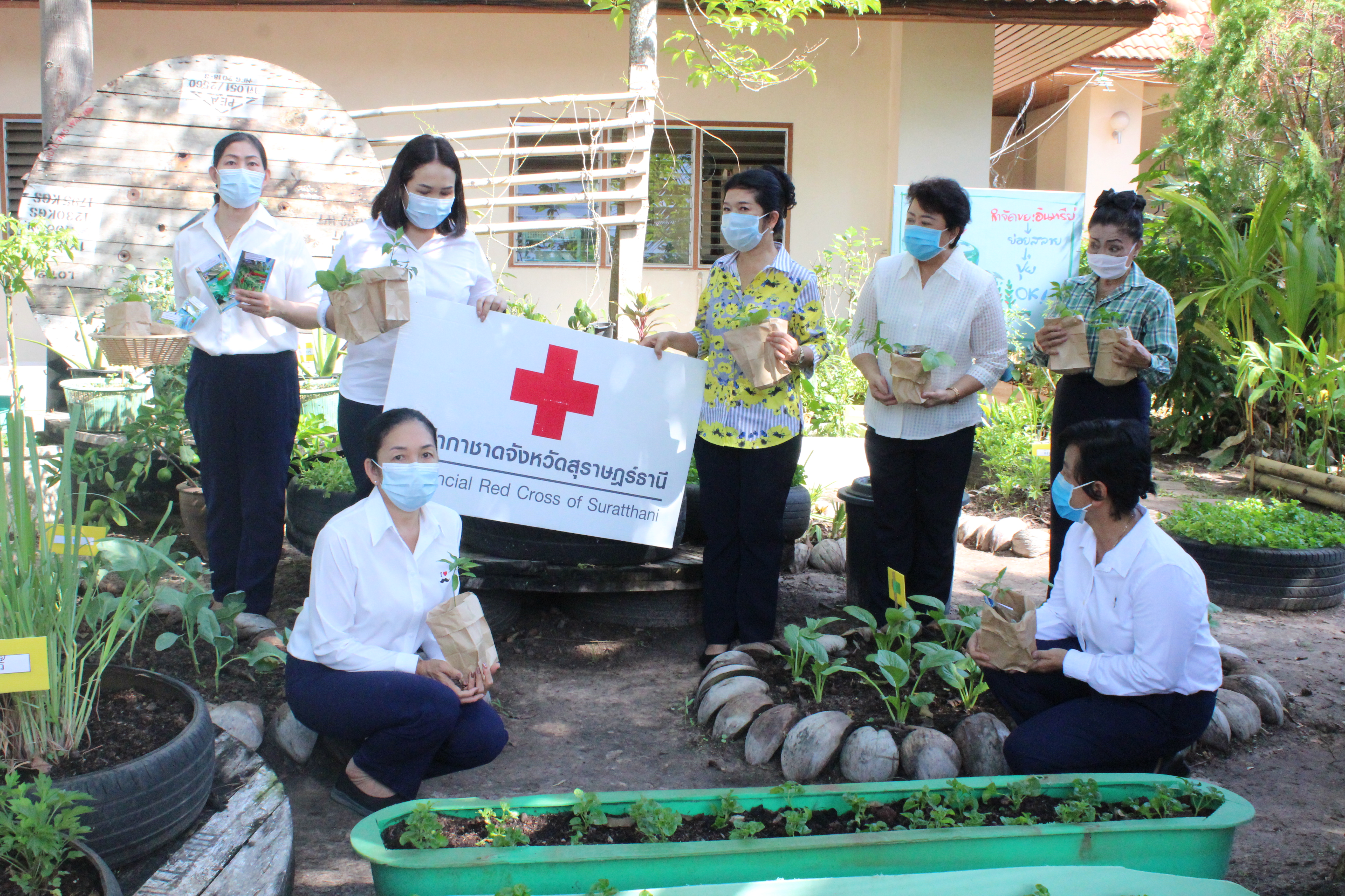 เปิดปฏิบัติการ QUICK WIN 90 วัน “ปลูกผักสวนครัว” เพื่อสร้างความมั่นคงทางอาหาร ต้านภัยวิกฤต ต่อสู้ COVID 19 ด้วยการร่วมกันปลูกผักสวนครัว