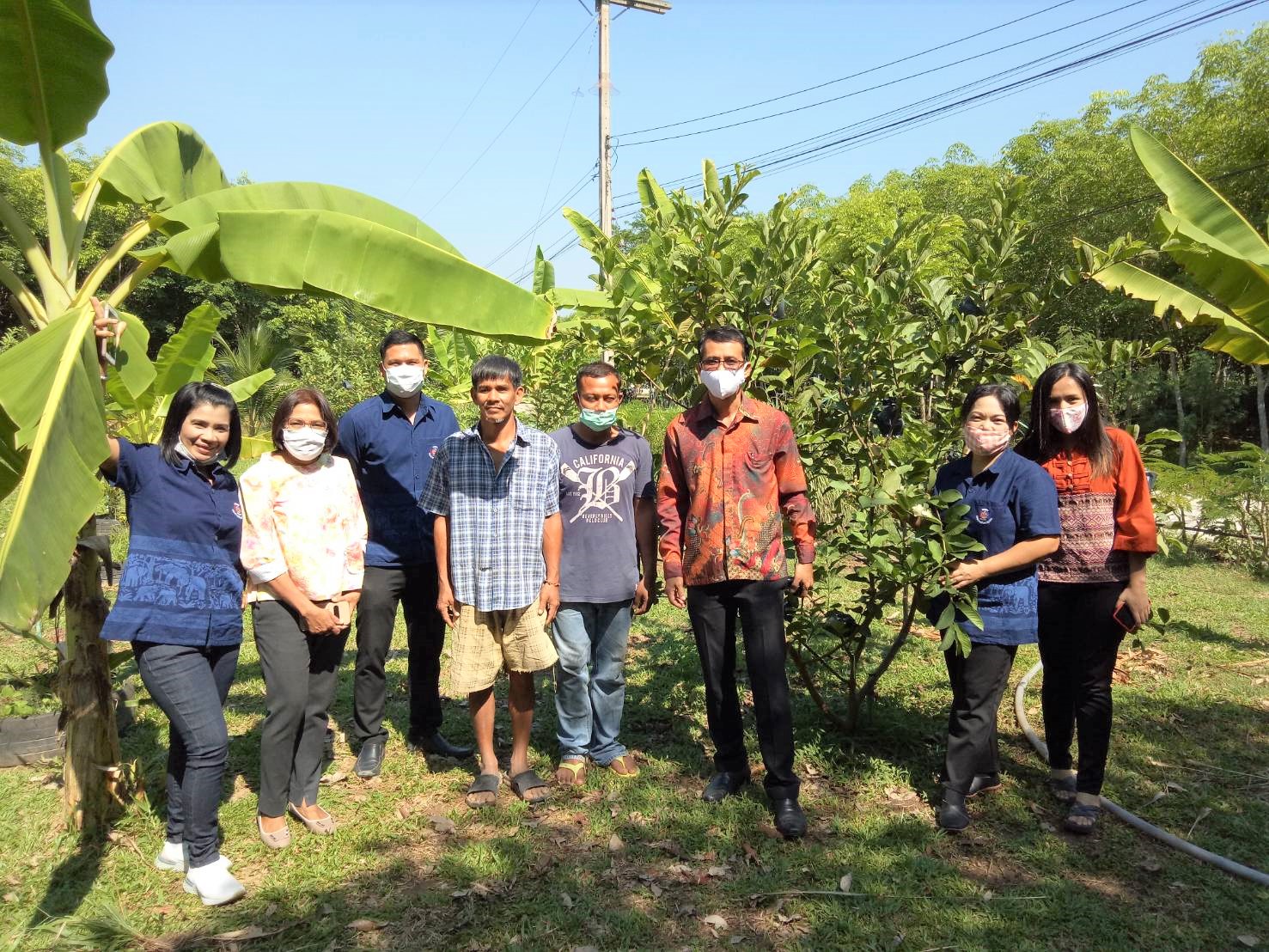 บ้านนี้มีรัก ปลูกผักกินเอง