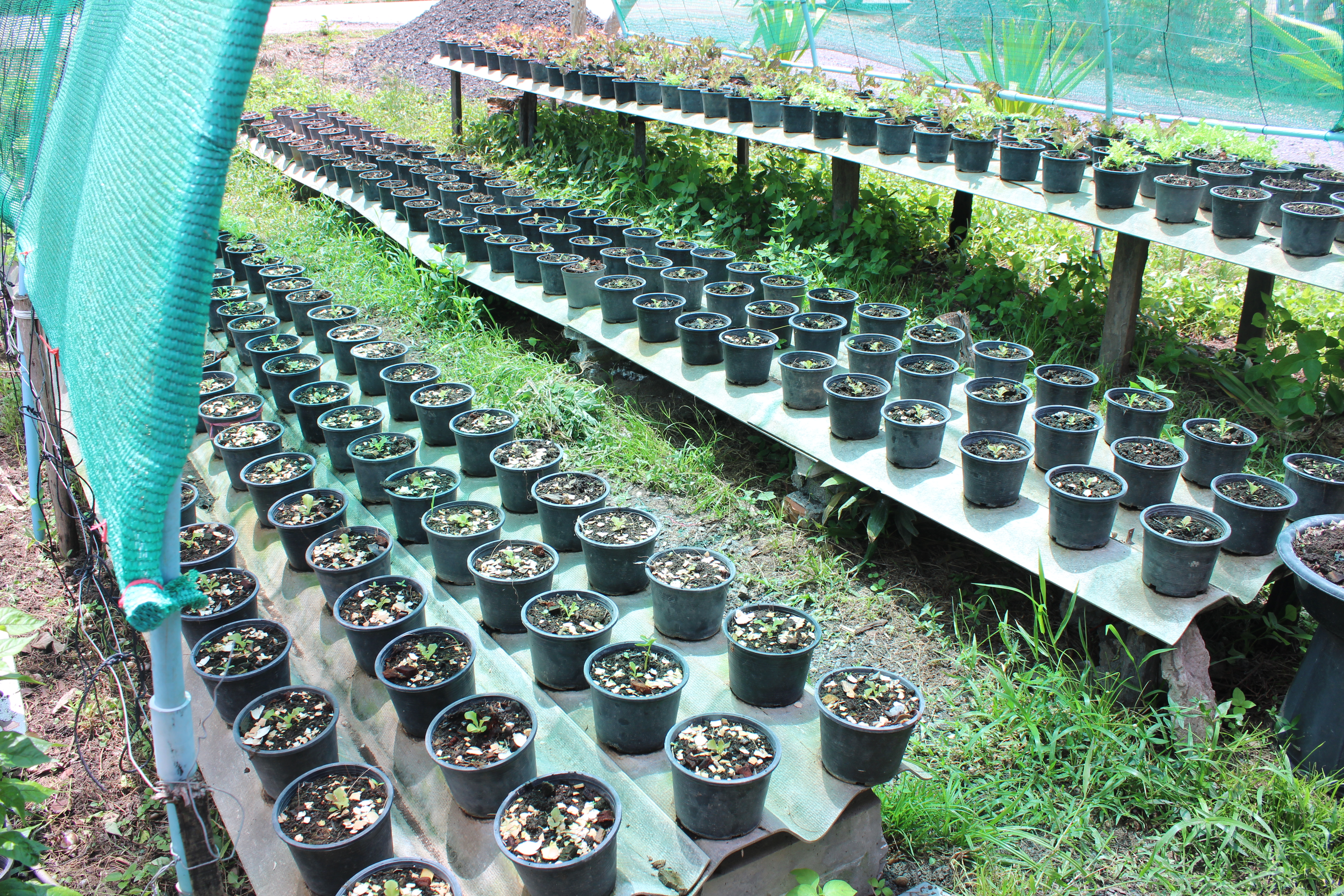 เตรียมพร้อม (D-DAY)  แบบเข้าถึงทุกครัวเรือน