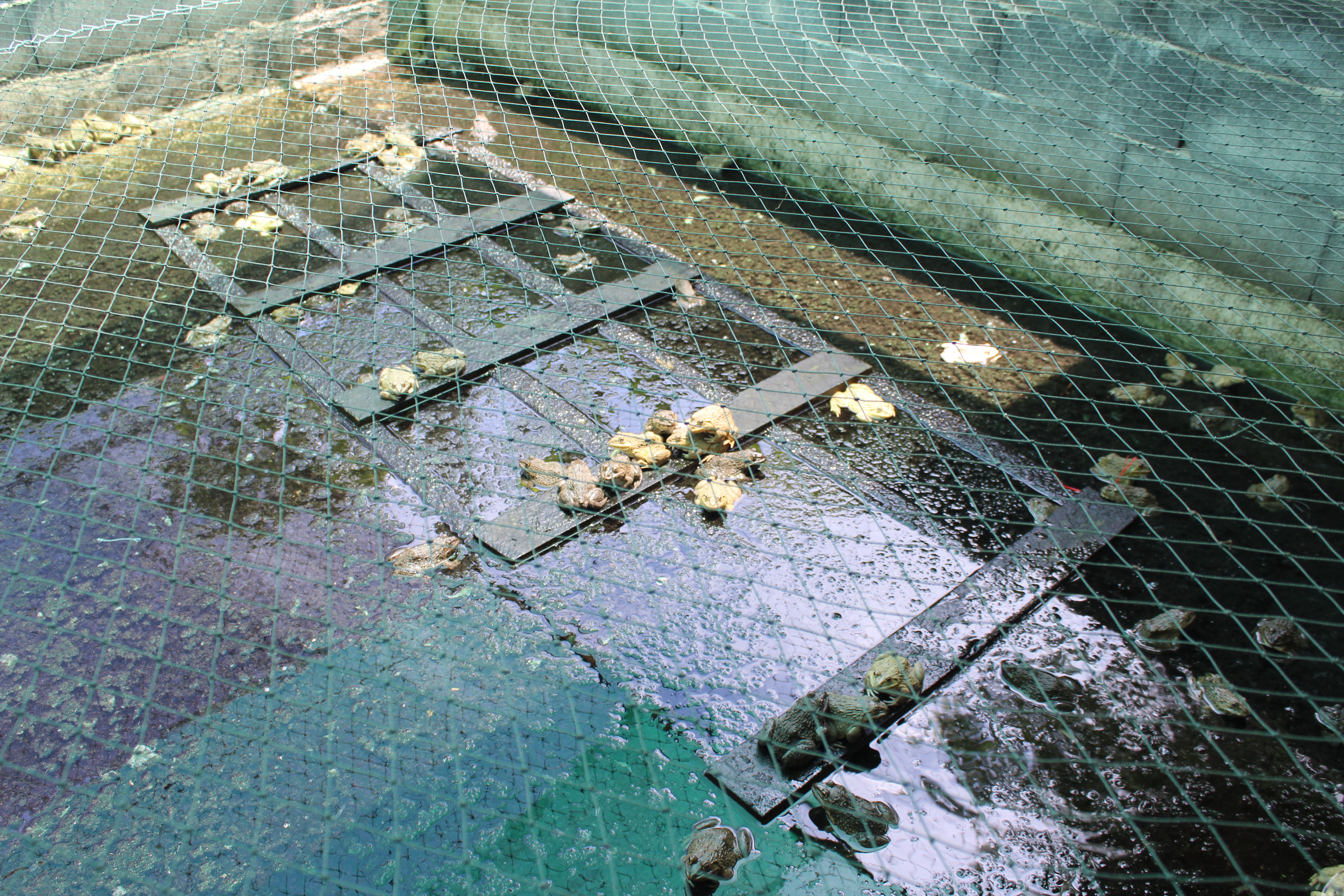 เตรียมพร้อม (D-DAY)  แบบเข้าถึงทุกครัวเรือน