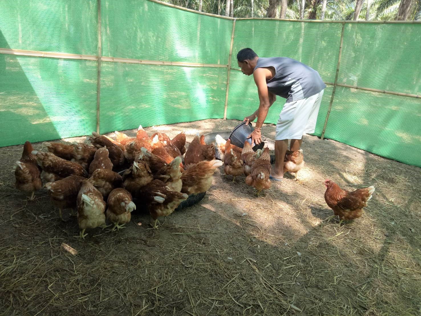 บ้านนี้มีรัก ปลูกผักกินเอง