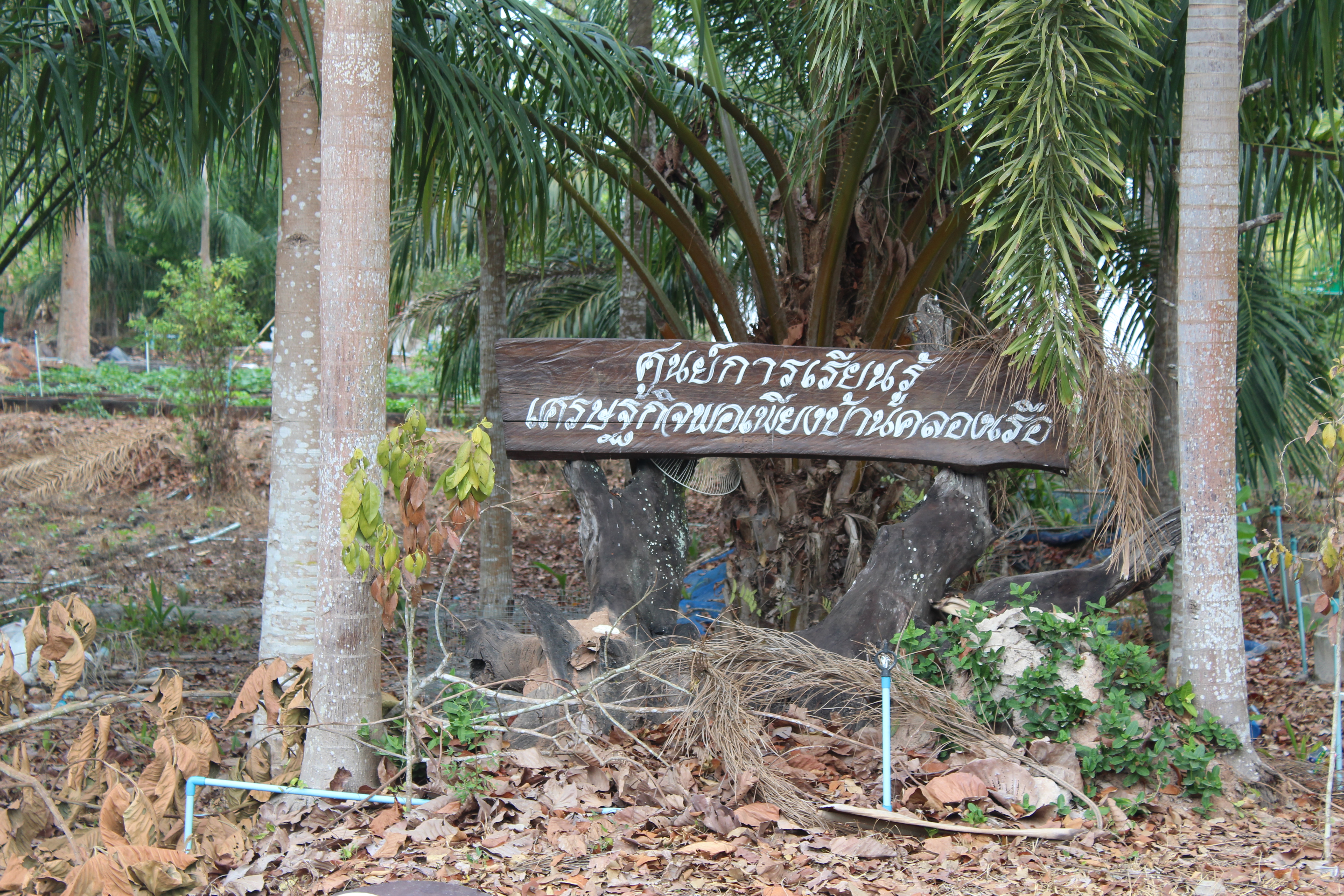 สร้างกำลังใจ พร้อมเดินไปด้วยกัน