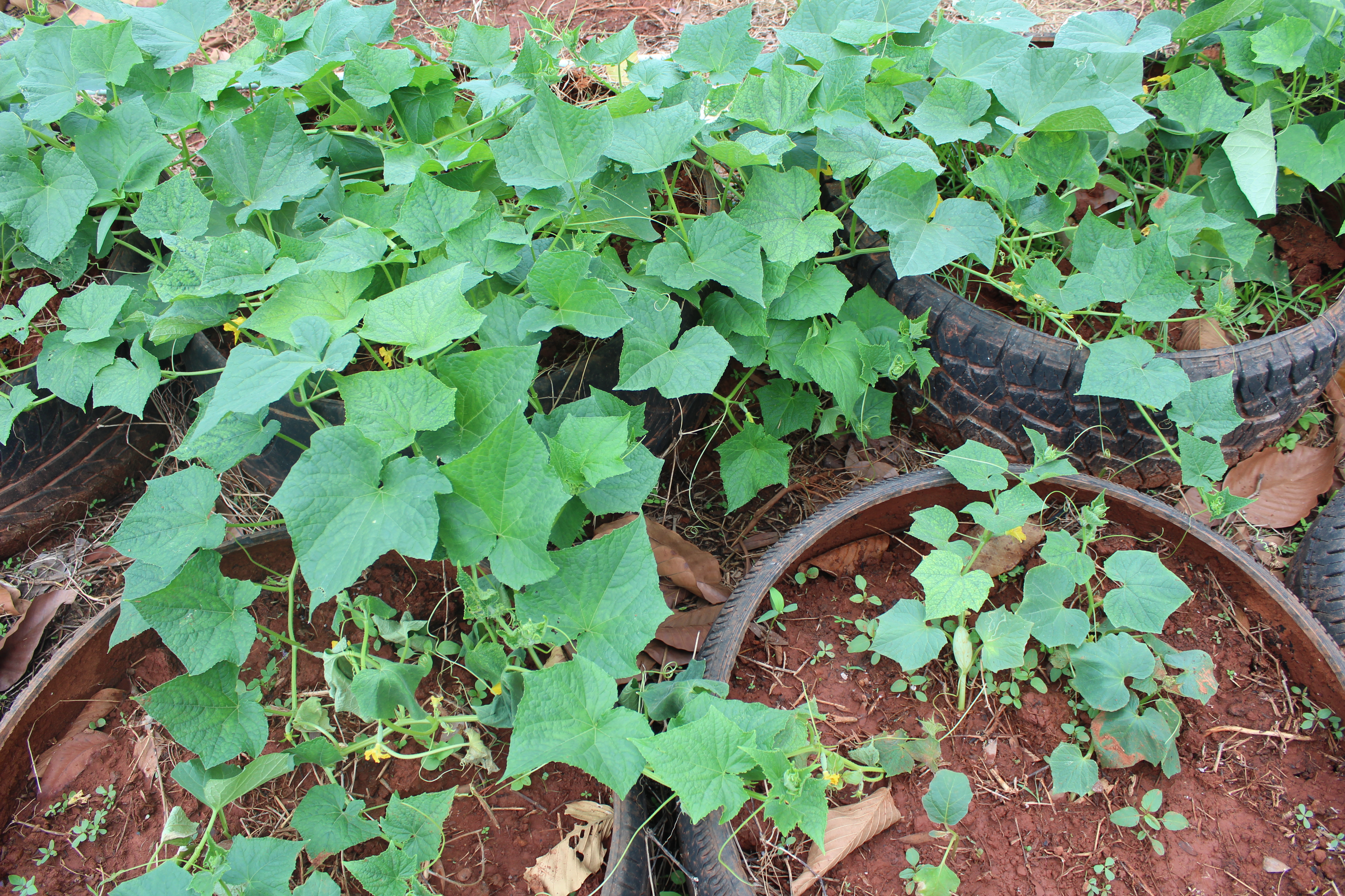 สร้างกำลังใจ พร้อมเดินไปด้วยกัน