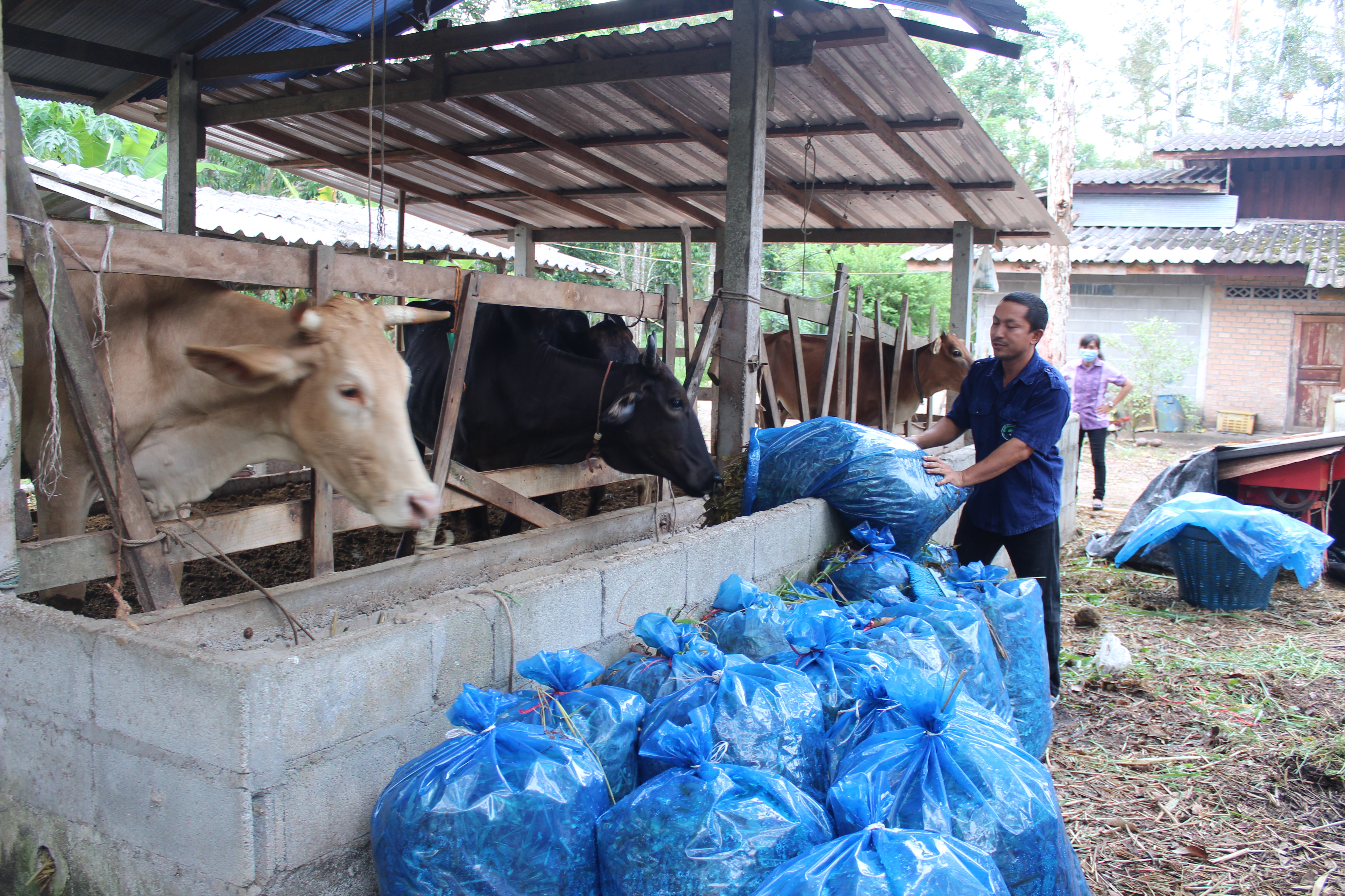 น้อมนำหลักปรัชญาของเศรษฐกิจพอเพียง สู่การปฏิบัติ