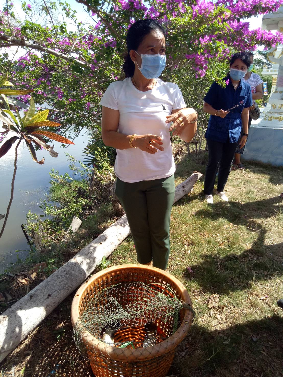 พจ.  ลงพื้นที่อำเภอไชยา  มอบเมล็ดพันธุ์ผัก  ส่งเสริมเศรษฐกิจฐานราก