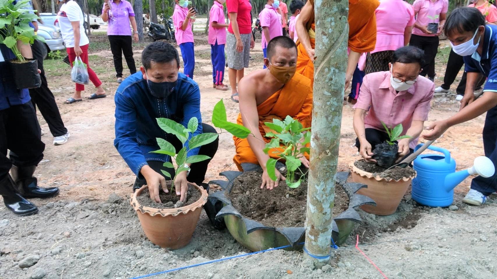 พจ. ขยายผลการปลูกผักสวนครัวจากวัดสู่ชุมชน ตามหลัก “บวร”