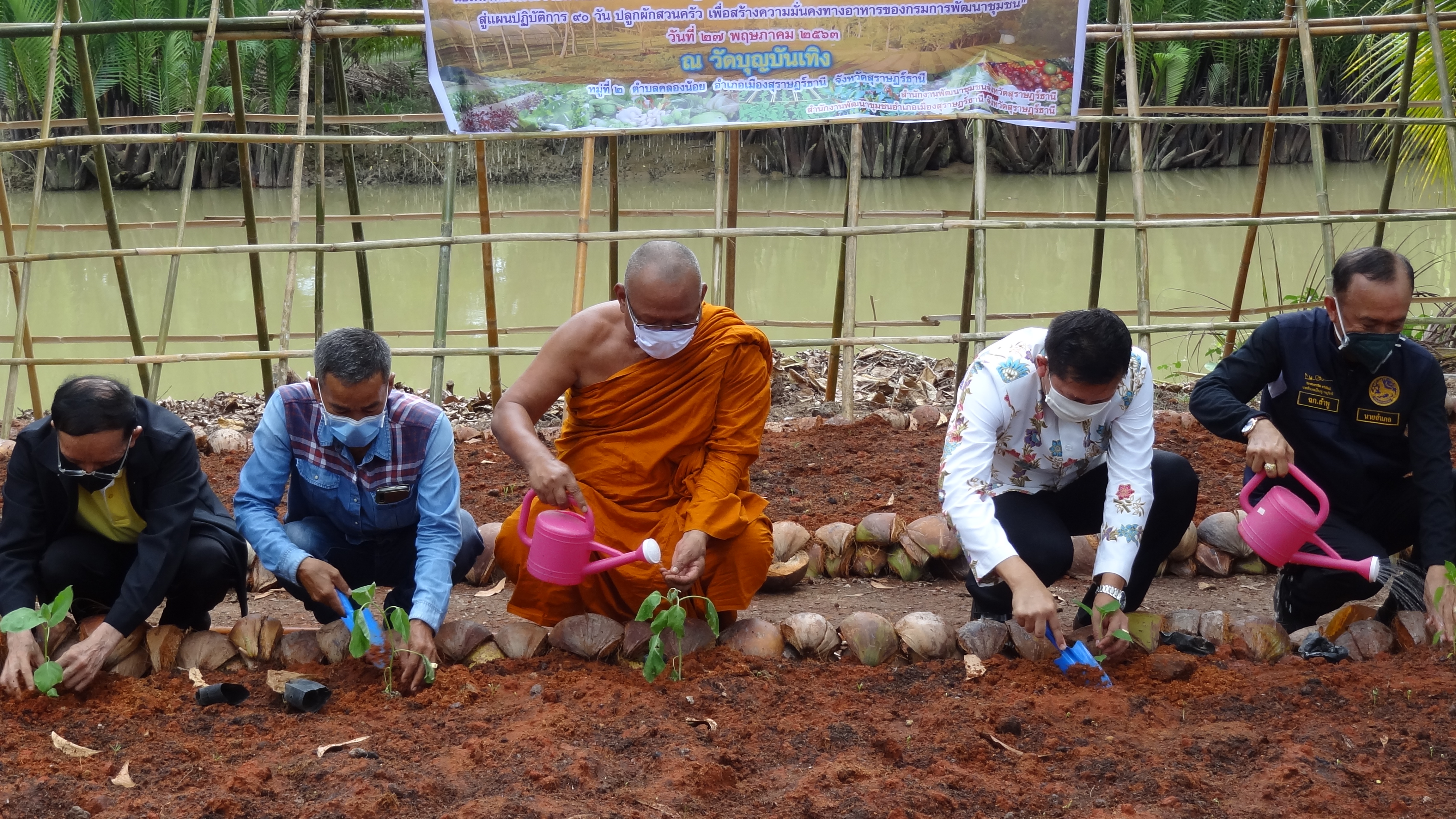 พจ.สุราษฎร์ธานี ขยายผลปลูกผักสวนครัวจากวัดสู่ชุมชน ตามหลัก “บวร”