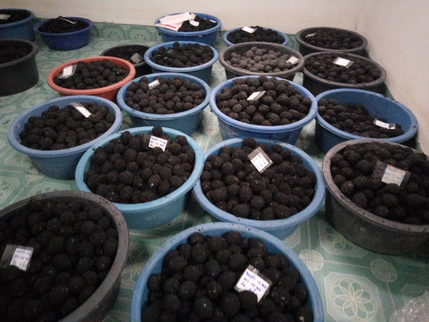 พจ.  ลงพื้นที่อำเภอไชยา  มอบเมล็ดพันธุ์ผัก  ส่งเสริมเศรษฐกิจฐานราก