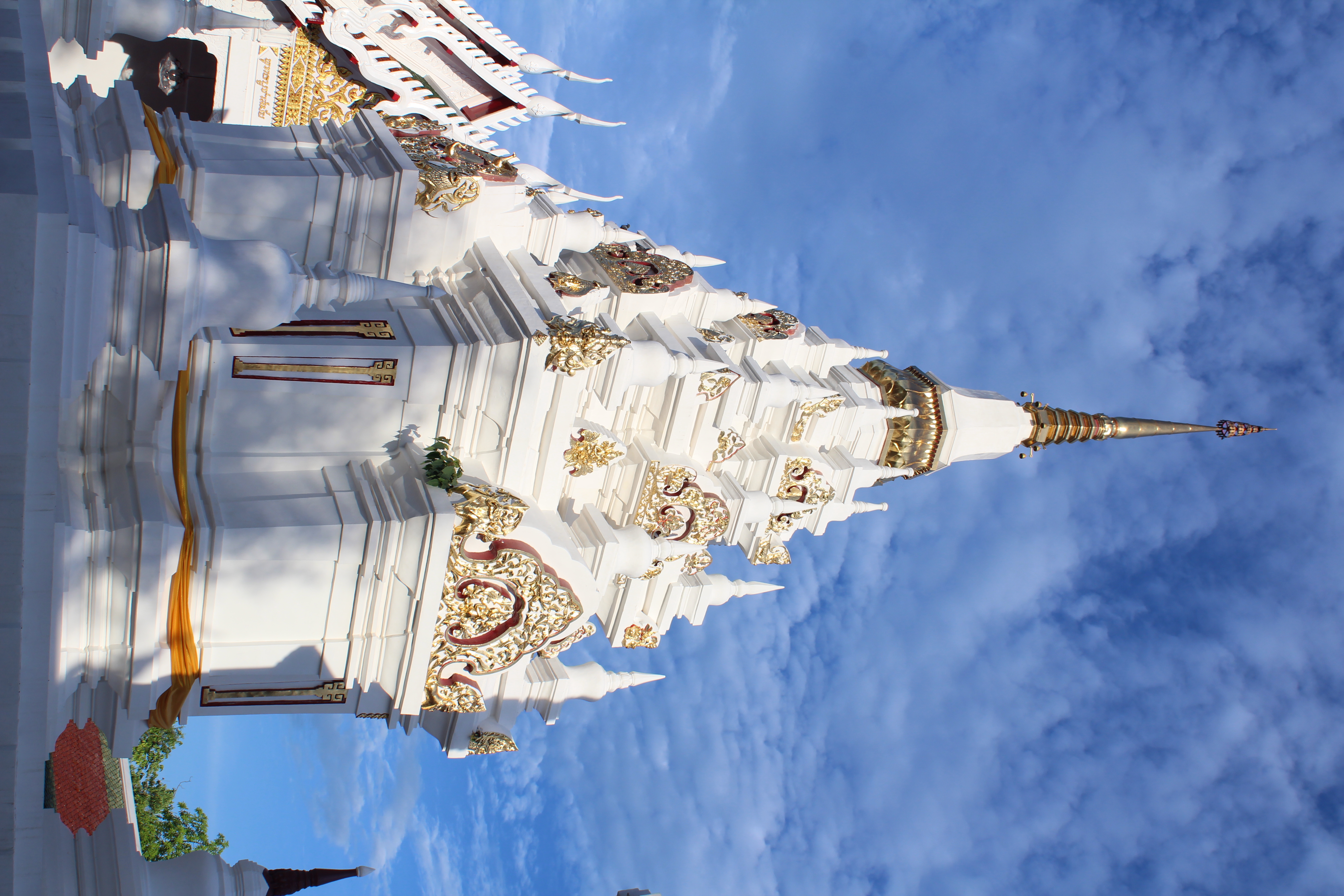 พจ.  ลงพื้นที่อำเภอไชยา  มอบเมล็ดพันธุ์ผัก  ส่งเสริมเศรษฐกิจฐานราก