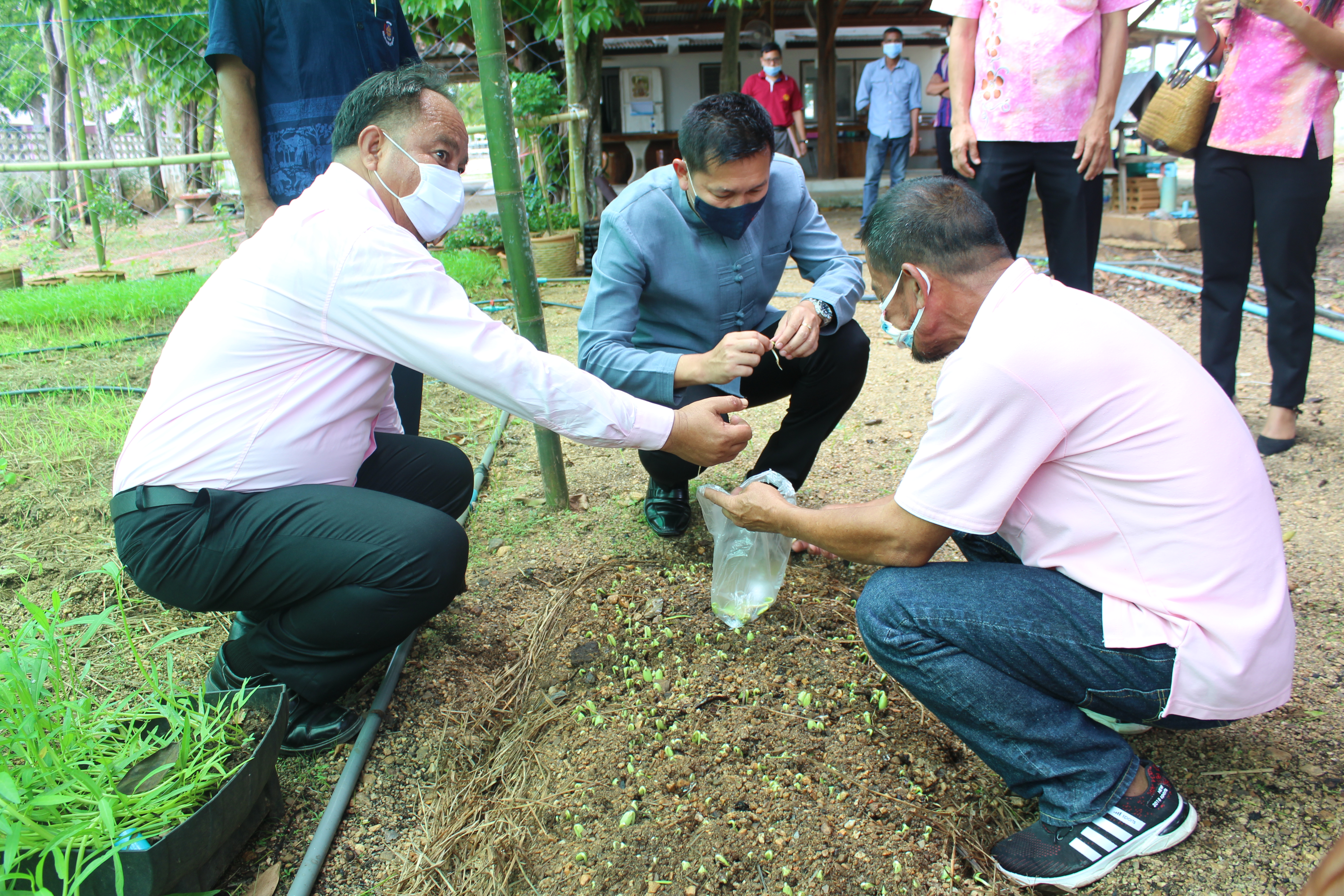 เยียนคีรีรัฐนิคม