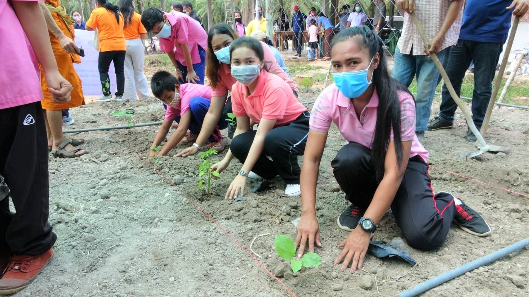พจ. ขยายผลการปลูกผักสวนครัวจากวัดสู่ชุมชน ตามหลัก “บวร”