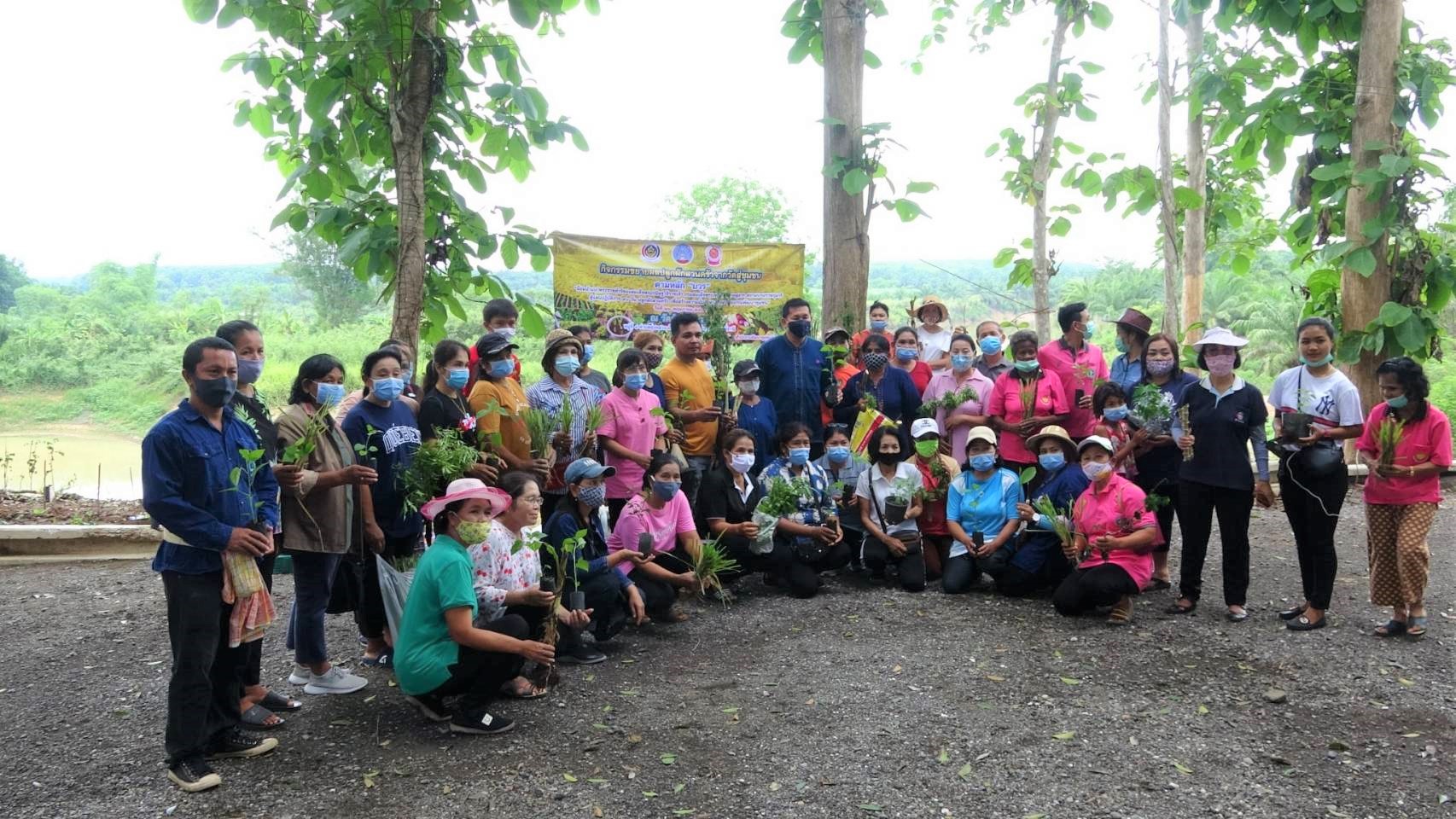 พจ. ขยายผลการปลูกผักสวนครัวจากวัดสู่ชุมชน ตามหลัก “บวร”