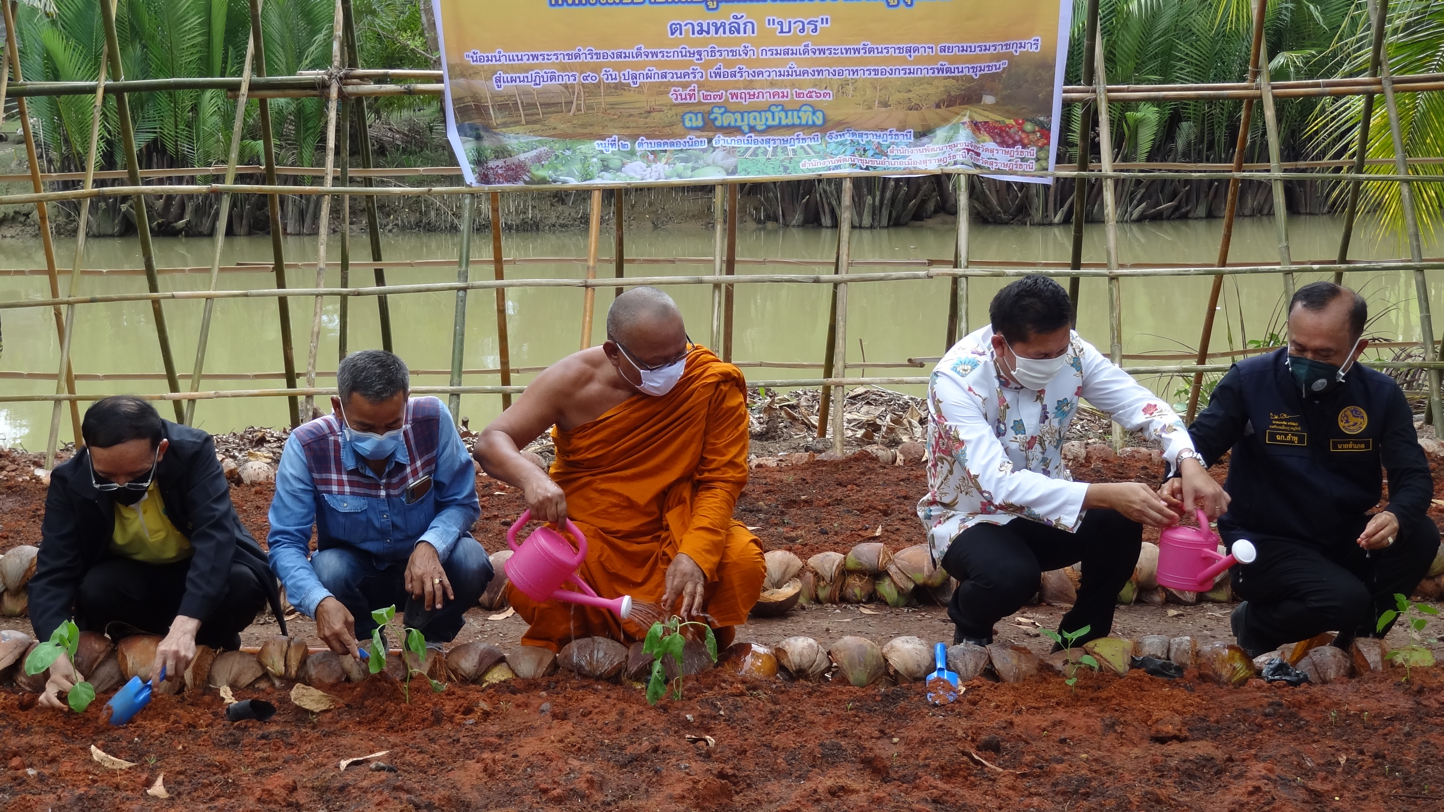 พจ.สุราษฎร์ธานี ขยายผลปลูกผักสวนครัวจากวัดสู่ชุมชน ตามหลัก “บวร”