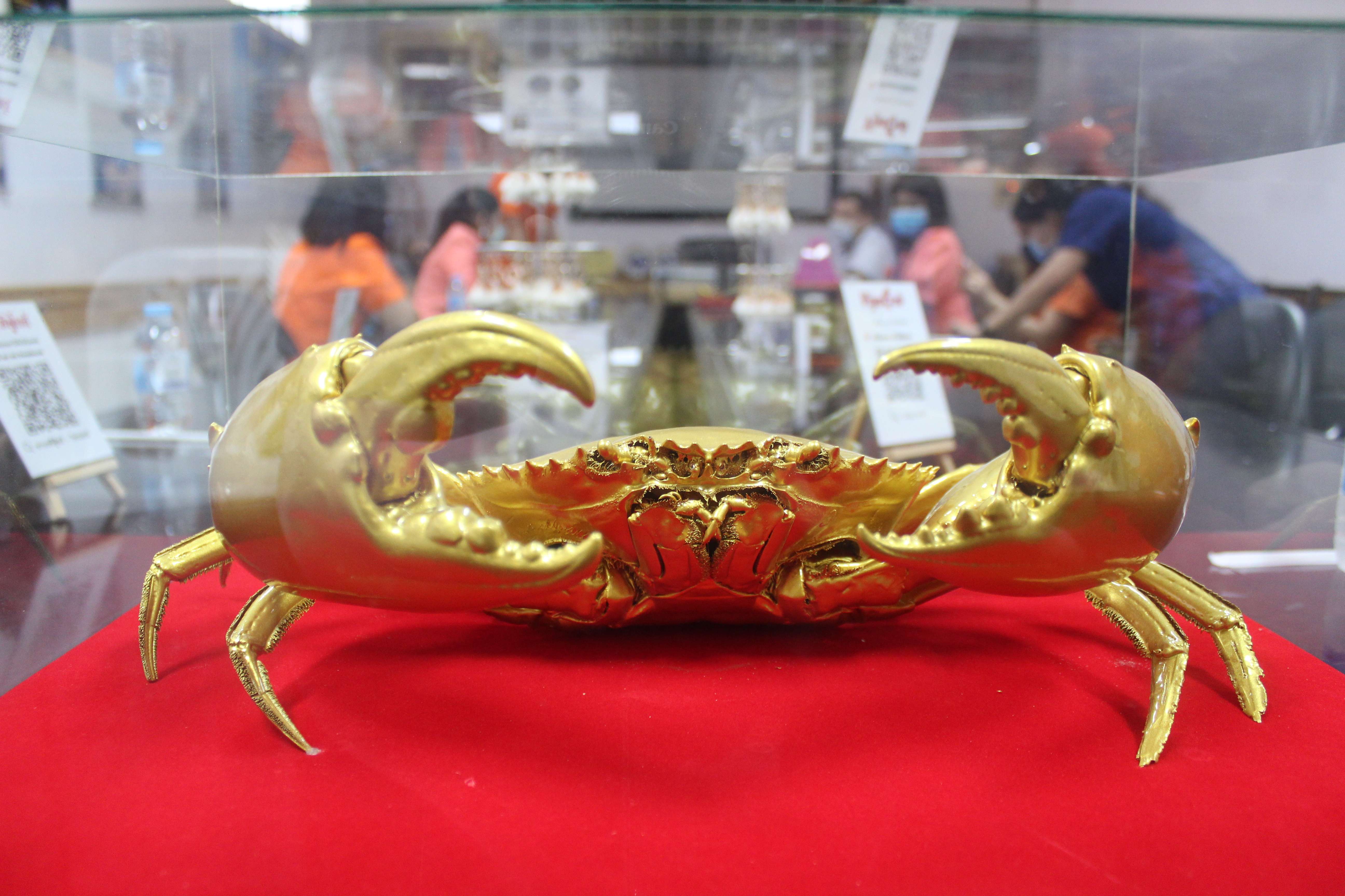 พจ.  ลงพื้นที่อำเภอไชยา  มอบเมล็ดพันธุ์ผัก  ส่งเสริมเศรษฐกิจฐานราก