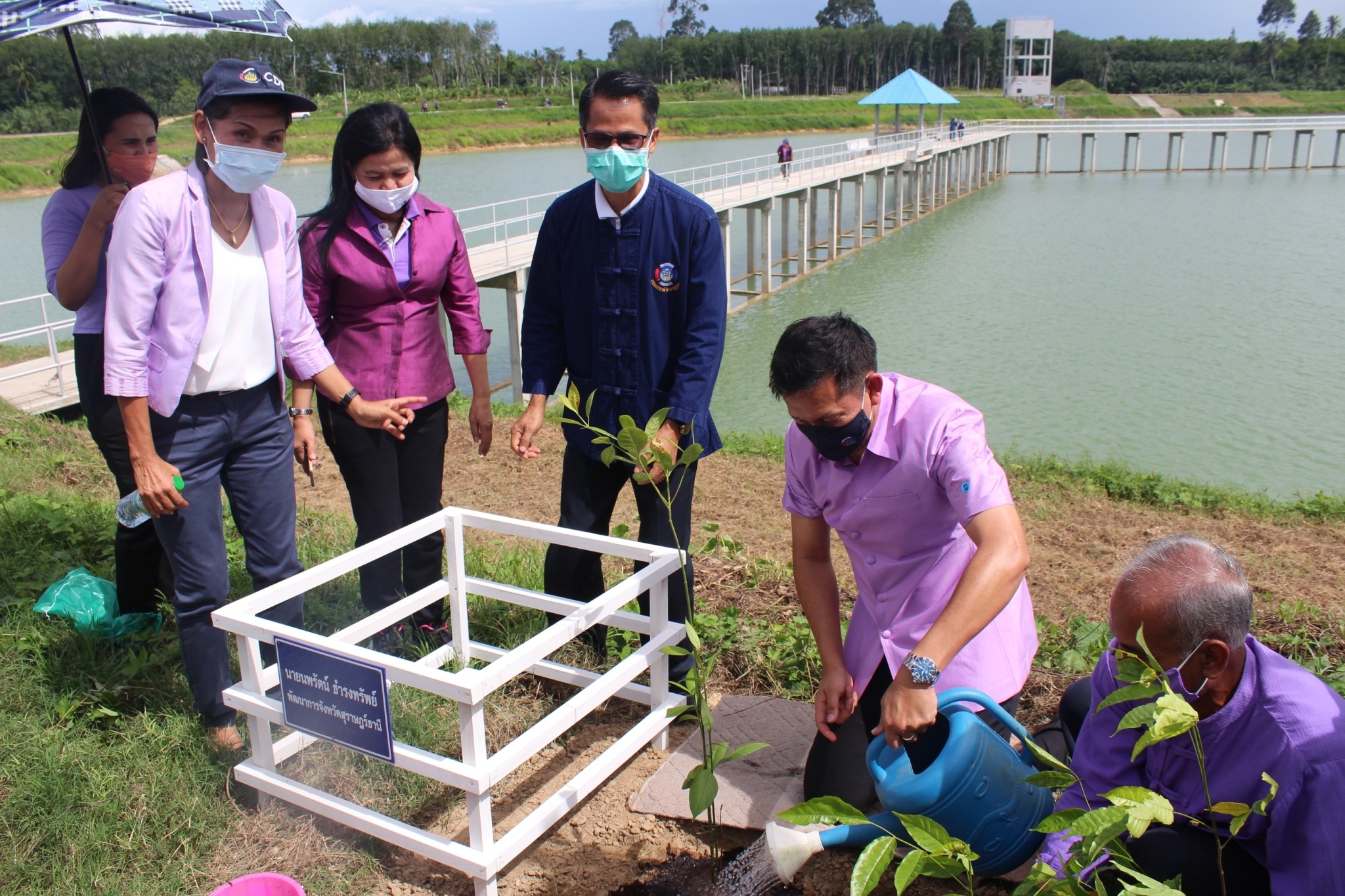 จัดกิจกรรมรวมพลังสตรีอาสาพัฒนา ปลูกป่าเฉลิมพระเกียรติ