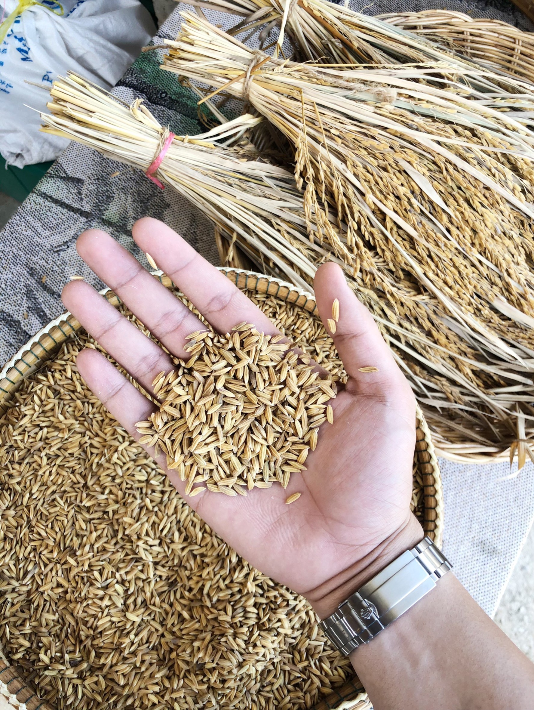 พัฒนาการจังหวัดสุราษฎร์ธานี ร่วมเป็นเกียรติงานแถลงข่าว