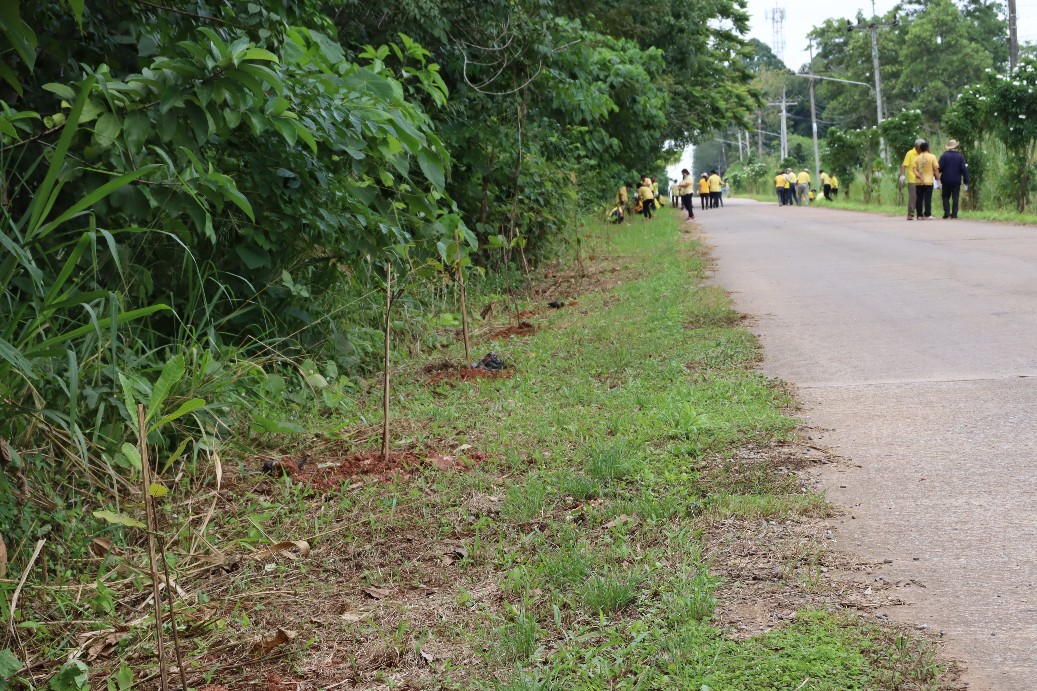 พจ.สุราษฎร์ธานี เปิด โครงการ “1 ตำบล 1 ถนนกินได้ปลอดภัยไร้สารพิษ” ตำบลขุนทะเล อำเภอเมืองสุราษฎร์ธานี