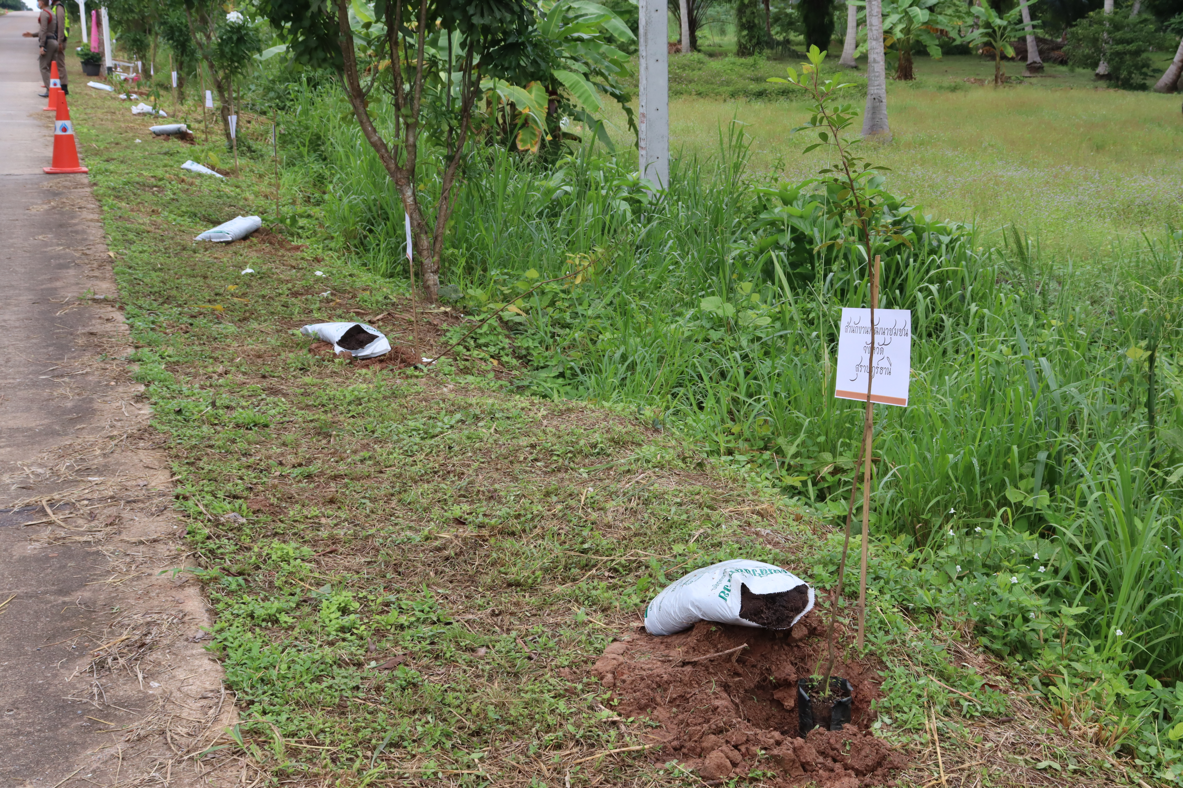 พจ.สุราษฎร์ธานี เปิด โครงการ “1 ตำบล 1 ถนนกินได้ปลอดภัยไร้สารพิษ” ตำบลขุนทะเล อำเภอเมืองสุราษฎร์ธานี