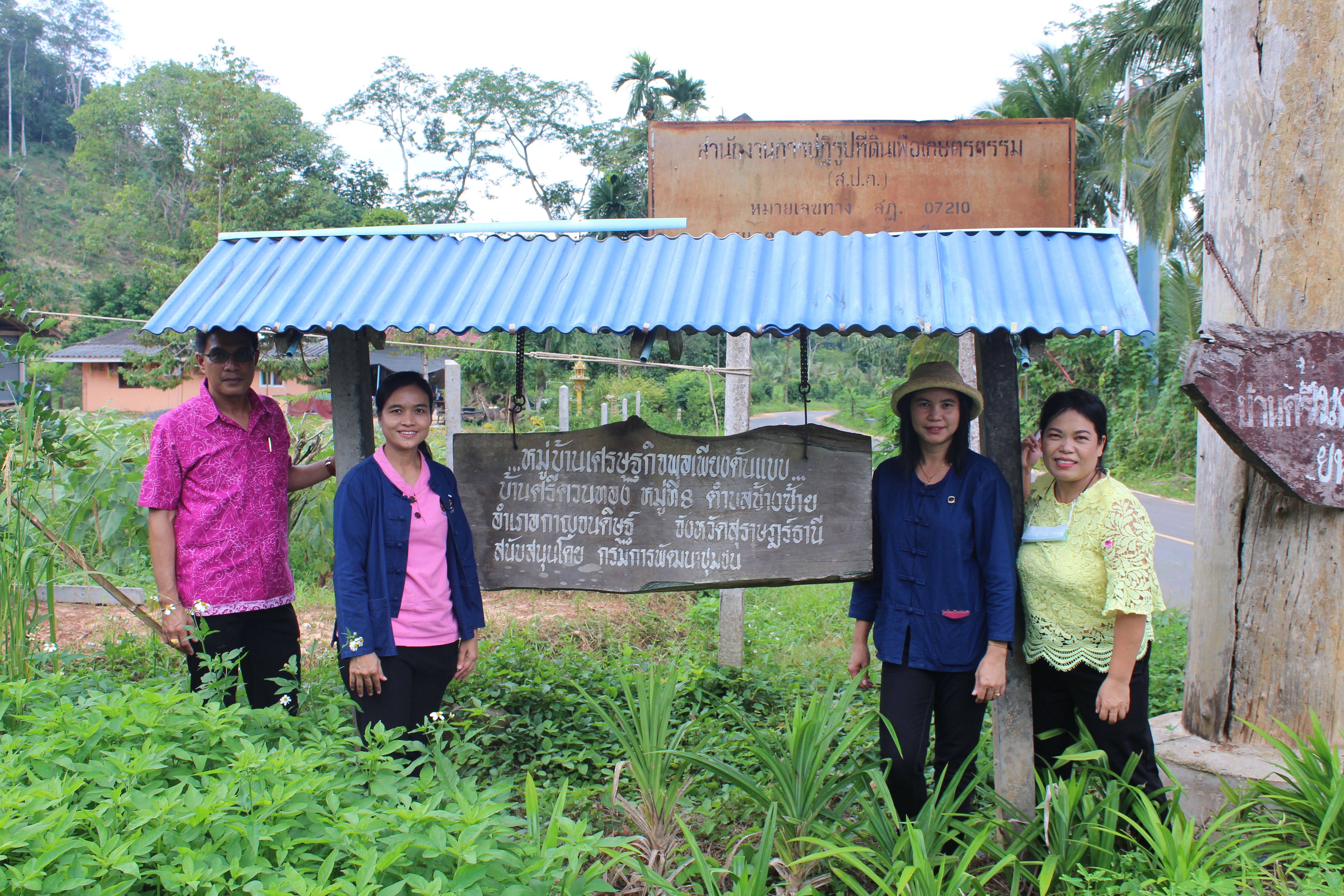 พช.สุราษฎร์ธานี ติดตามผลความสำเร็จการดำเนินงาน “น้อมนำแนวพระราชดำริของสมเด็จพระกนิษฐาธิราชเจ้า กรมสมเด็จพระเทพรัตนราชสุดาฯ สยามบรมราชกุมารี สู่แผนปฏิบัติการ 90 วัน ปลูกผักสวนครัวเพื่อสร้างความมั่นคงทางอาหาร” ระยะที่ 2 สร้างวัฒนธรรมปลูกพืชผักประจำครัวเรือน