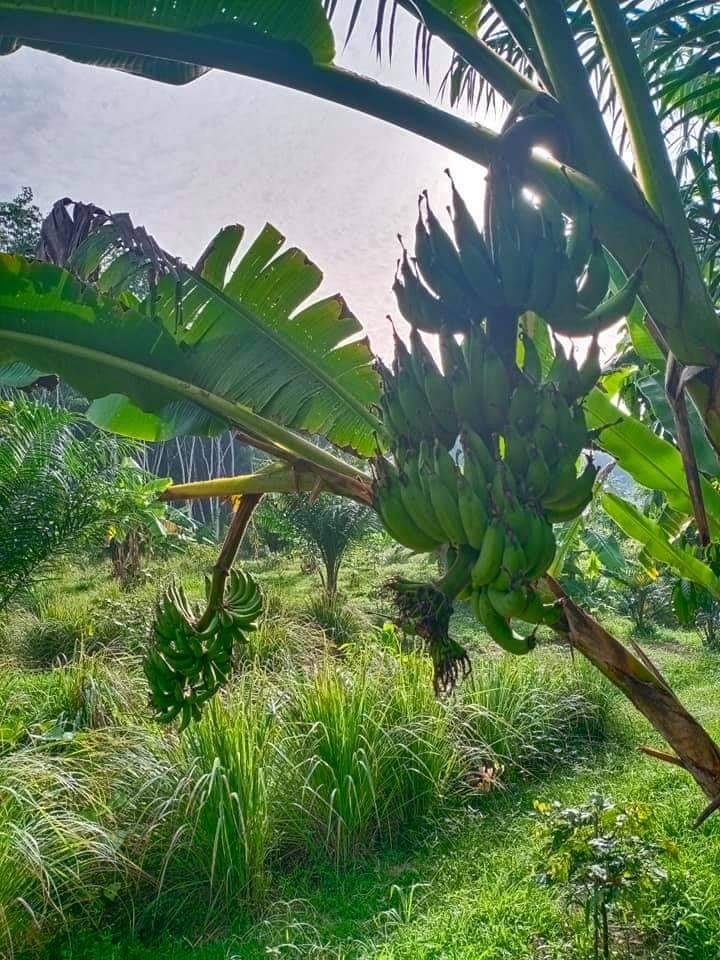 ผู้นำการเปลี่ยนแปลง Change for good กรมการพัฒนาชุมชน ร่วมจัดเลี้ยงผู้ติดเชื้อ โควิด-19 ในพื้นที่