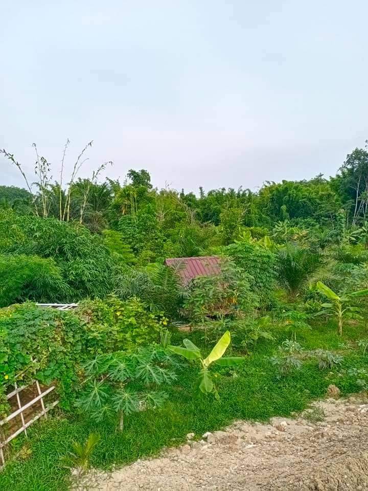 ผู้นำการเปลี่ยนแปลง Change for good กรมการพัฒนาชุมชน ร่วมจัดเลี้ยงผู้ติดเชื้อ โควิด-19 ในพื้นที่