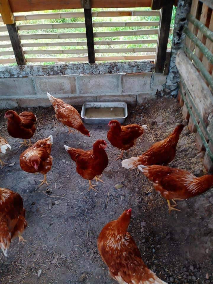 ผู้นำการเปลี่ยนแปลง Change for good กรมการพัฒนาชุมชน ร่วมจัดเลี้ยงผู้ติดเชื้อ โควิด-19 ในพื้นที่