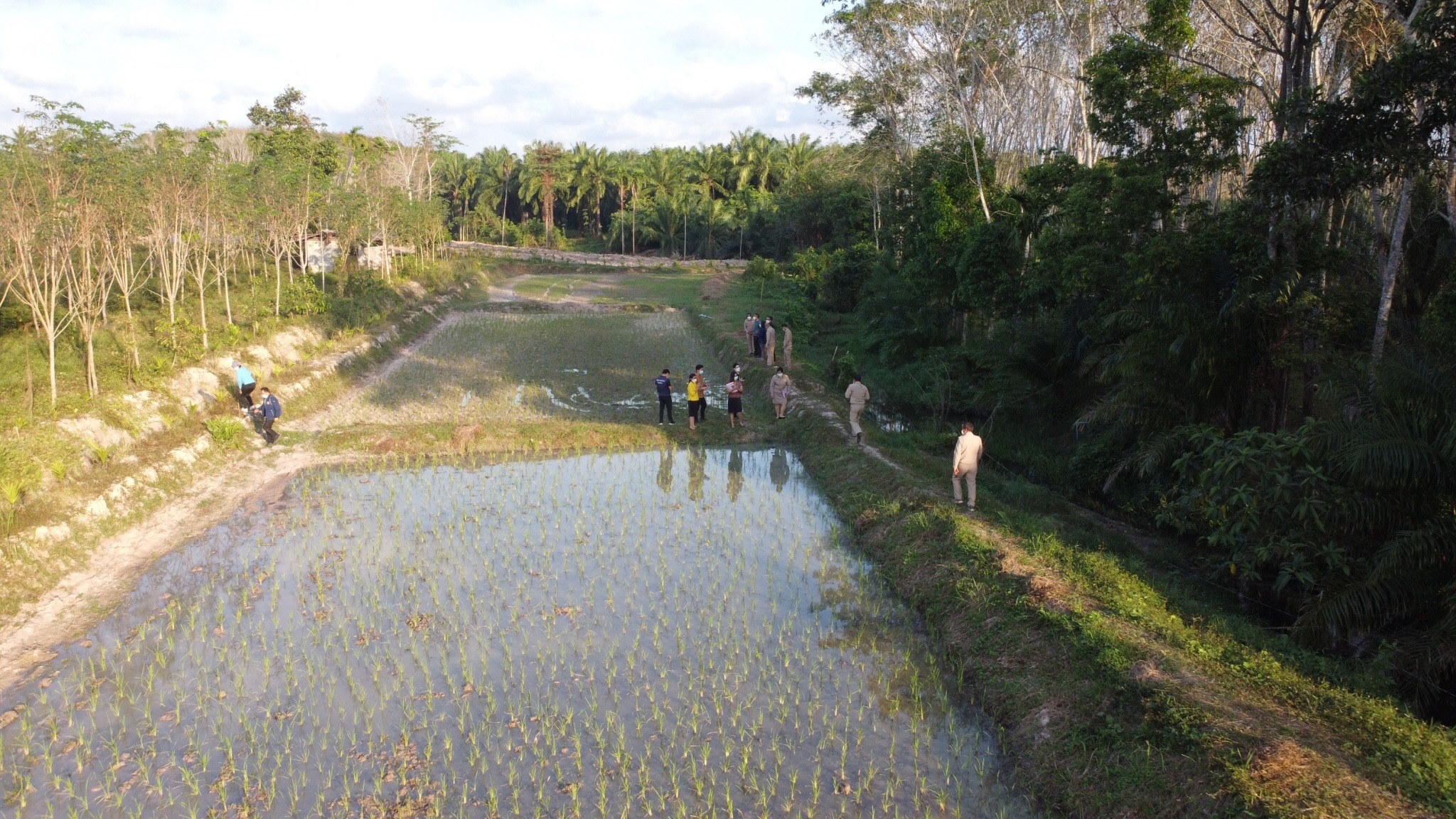 พช.สุราษฎร์ฯ ร่วมประชุมกับผู้ตรวจราชการกระทรวงมหาดไทย เขตตรวจราชการที่ 5 ลงพื้นที่ติดตามการผลดำเนินงานอย่างใกล้ชิด