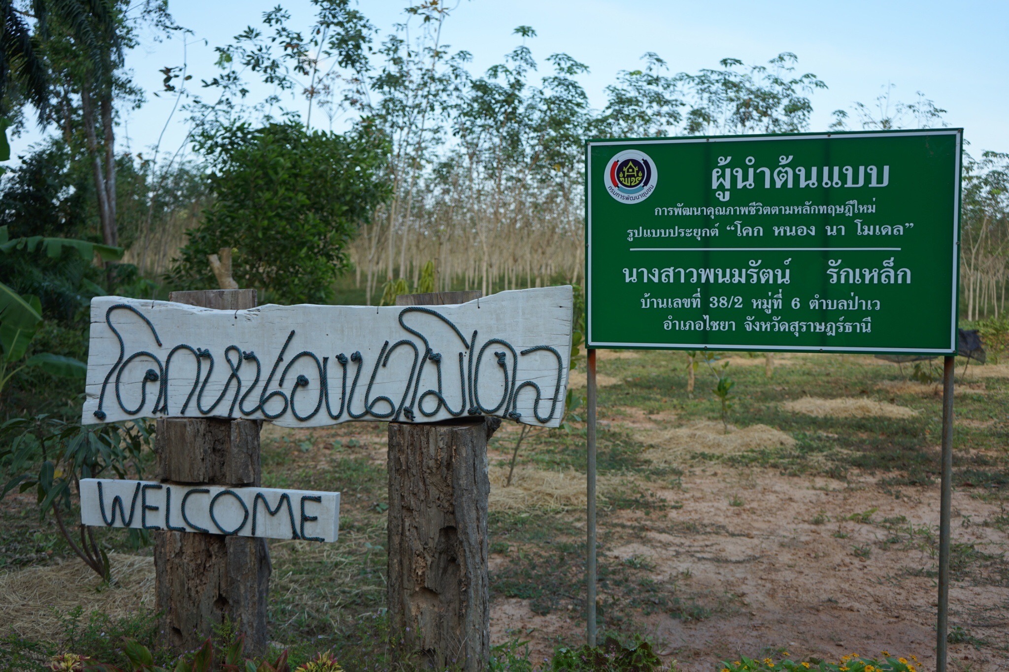 พช.สุราษฎร์ฯ ร่วมประชุมกับผู้ตรวจราชการกระทรวงมหาดไทย เขตตรวจราชการที่ 5 ลงพื้นที่ติดตามการผลดำเนินงานอย่างใกล้ชิด