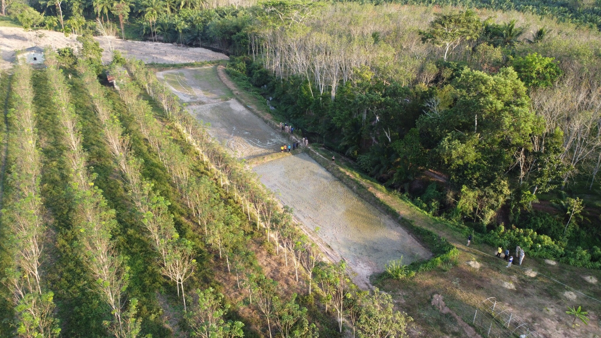 พช.สุราษฎร์ฯ ร่วมประชุมกับผู้ตรวจราชการกระทรวงมหาดไทย เขตตรวจราชการที่ 5 ลงพื้นที่ติดตามการผลดำเนินงานอย่างใกล้ชิด